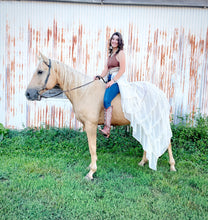 Load image into Gallery viewer, Belle Bustle