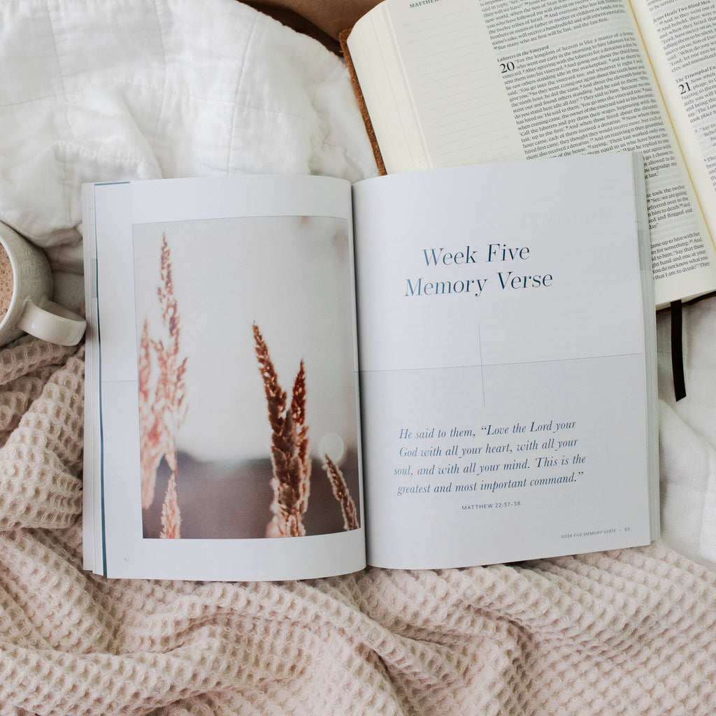 Behold: A Study of the New Testament Volume 1 Women