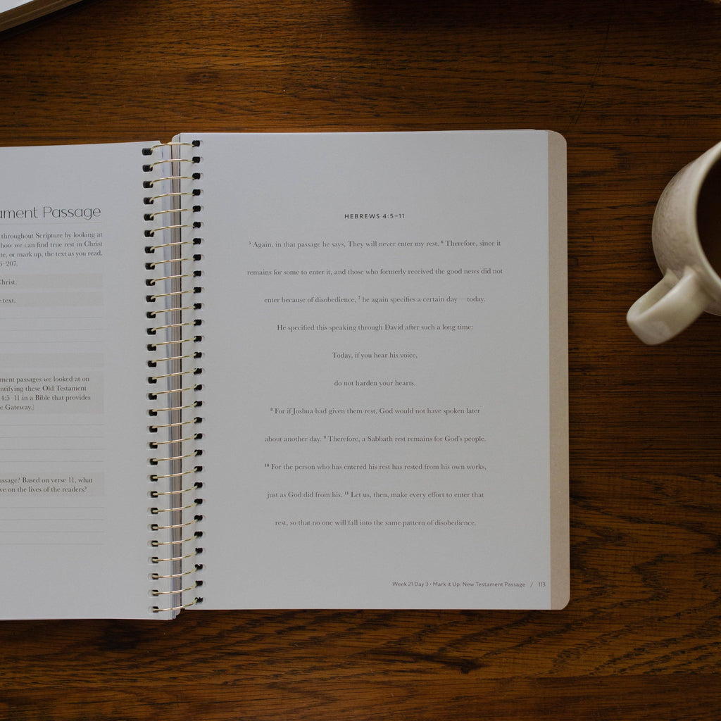Christ in All of Scripture | Volume 2