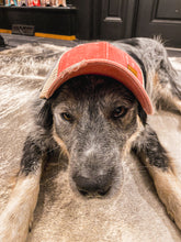 Load image into Gallery viewer, Red - High Pony Ball Cap
