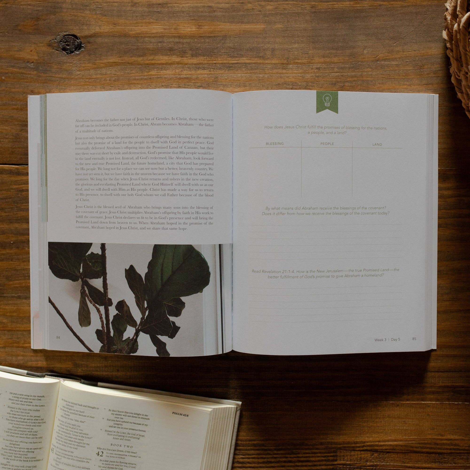 Faithful | Eden to Eternity Bible Study