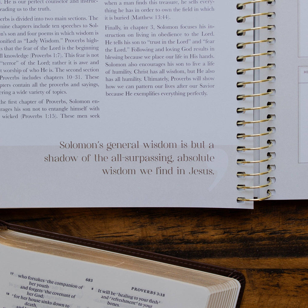 Eden to Eternity - Chronological Bible Study: Volume 2 (Spiral Bound) by