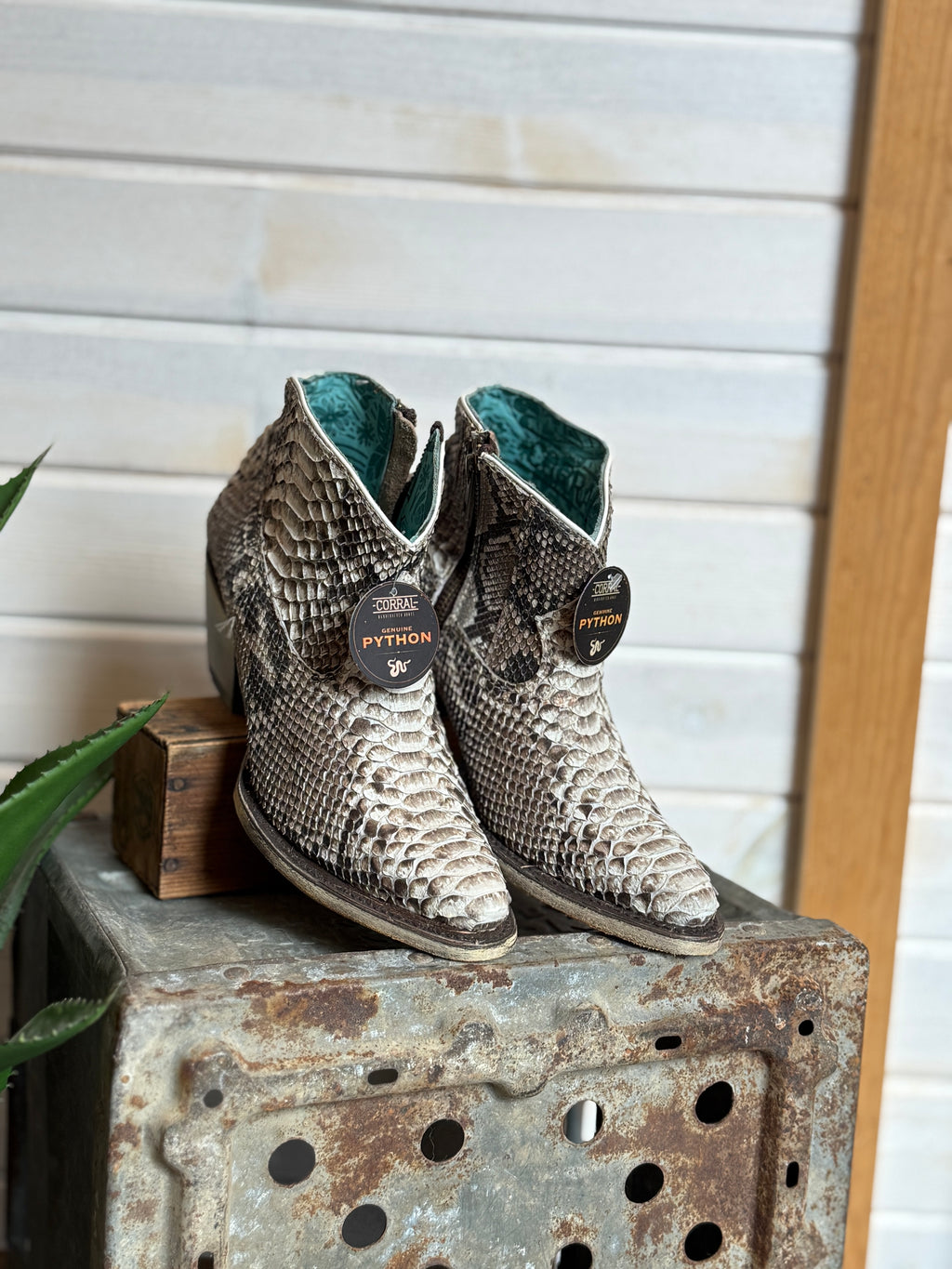 Jacie - Python Booties