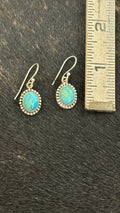 Dearest Darlin Turquoise Drop Earrings