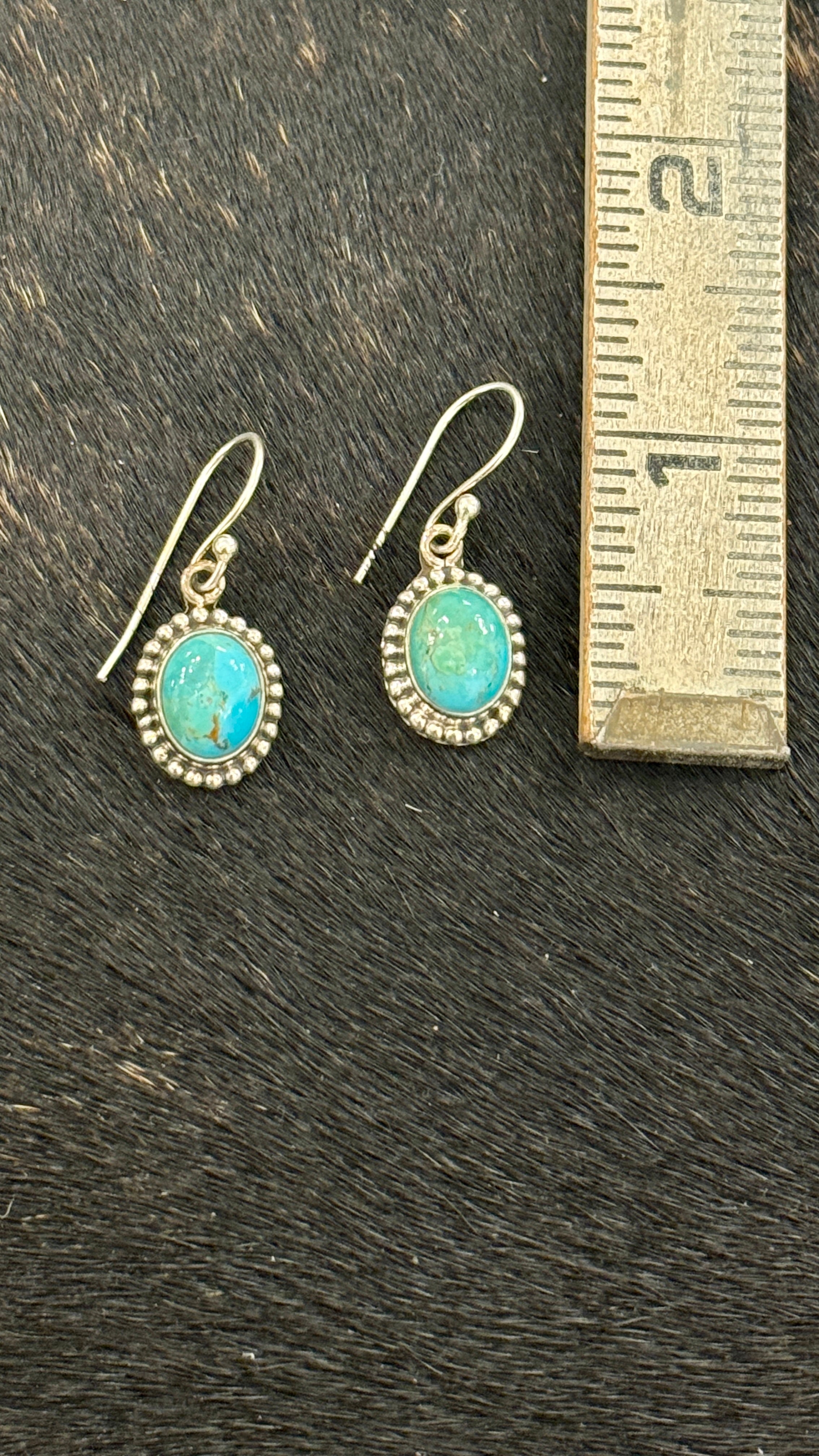 Dearest Darlin Turquoise Drop Earrings