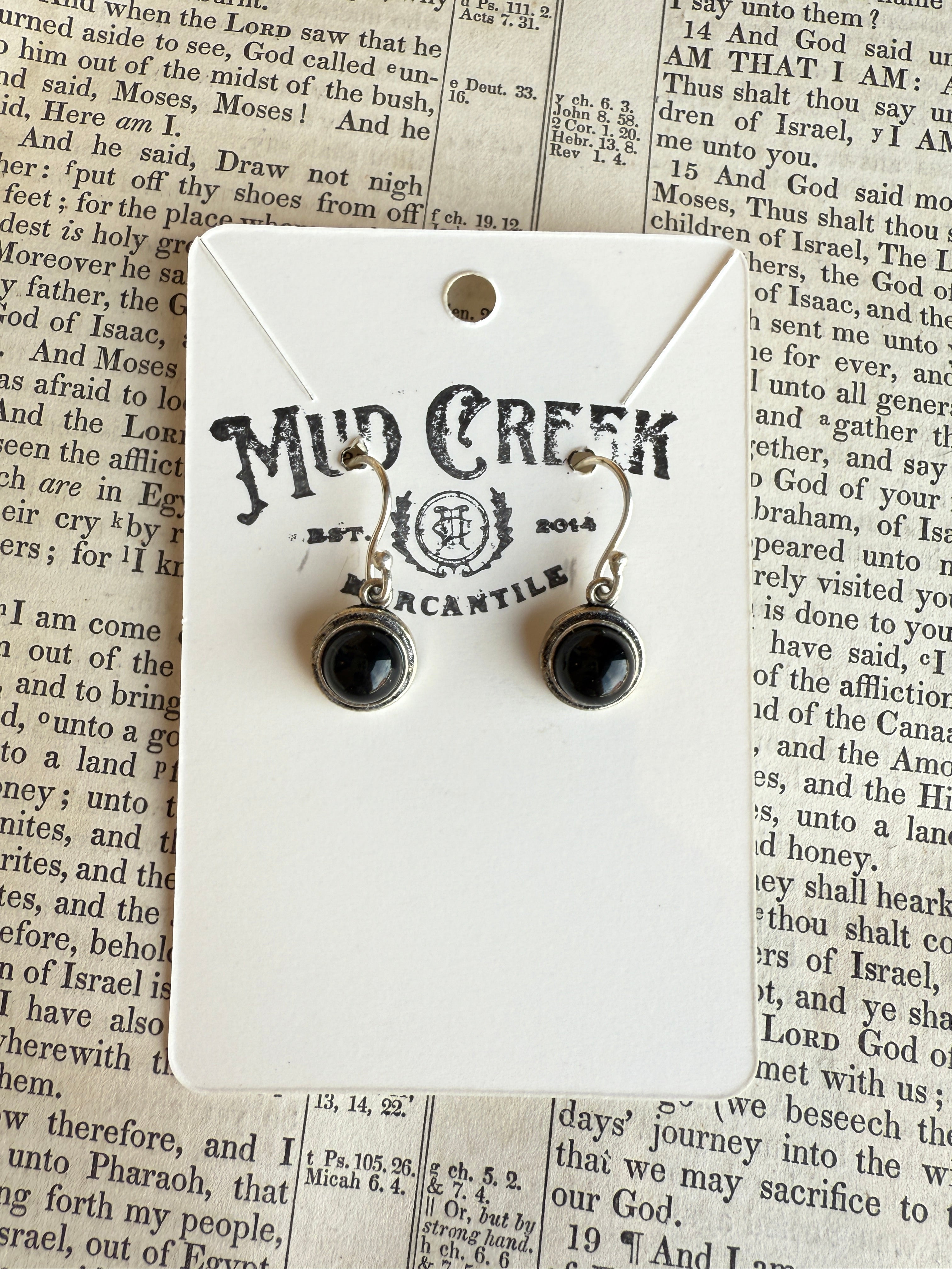 Steel a Little Thunder Earrings