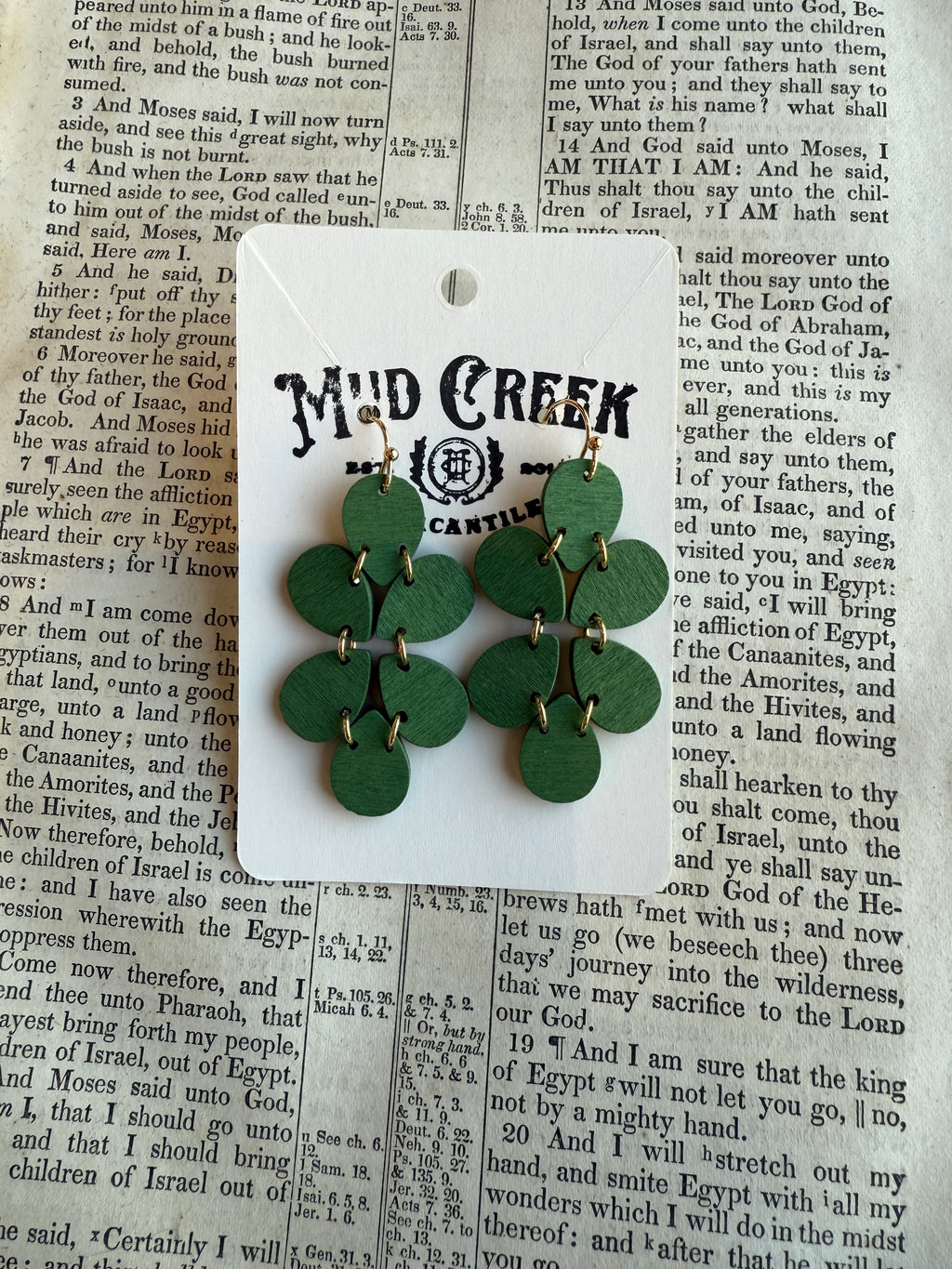 Wood if ya Could - Earrings