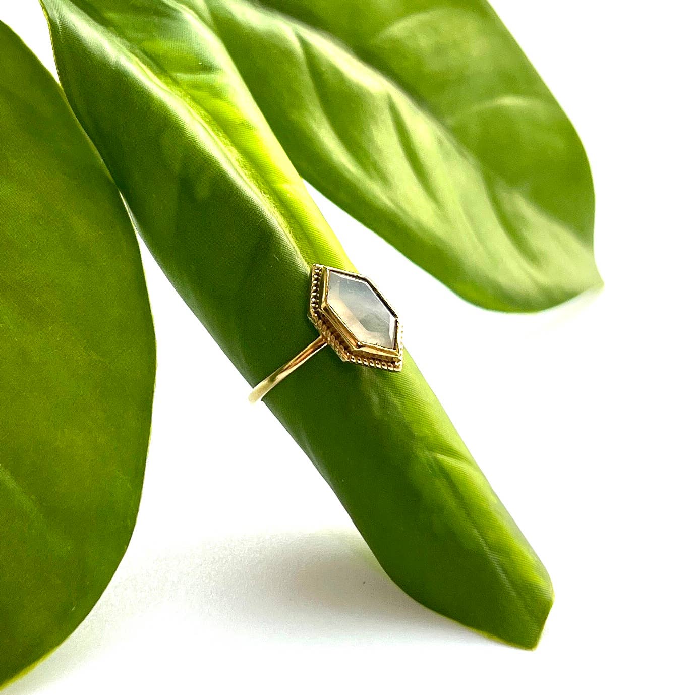Endless Praise Moonstone Solitaire Ring
