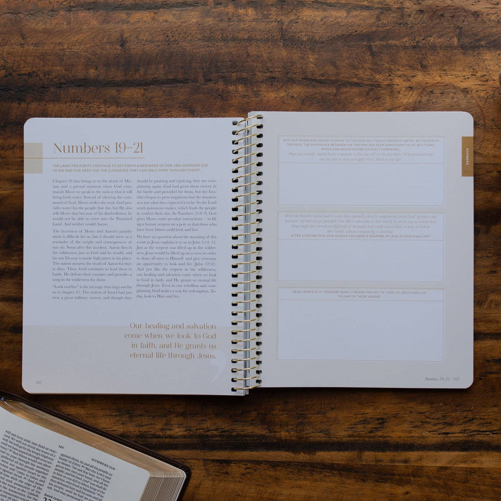 Eden to Eternity - Chronological Bible Study: Volume 1 (Spiral Bound)