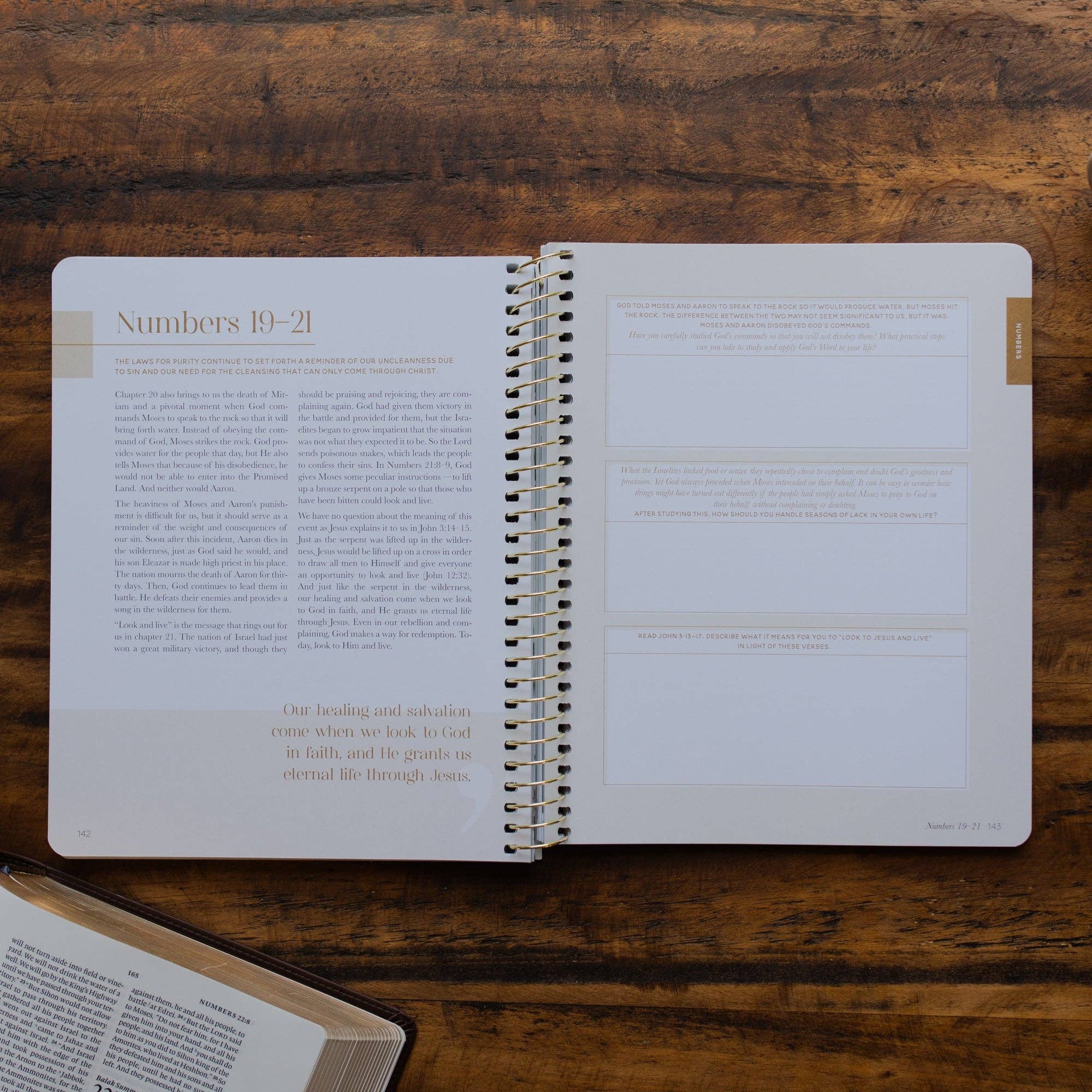 Eden to Eternity - Chronological Bible Study: Volume 1 (Spiral Bound)