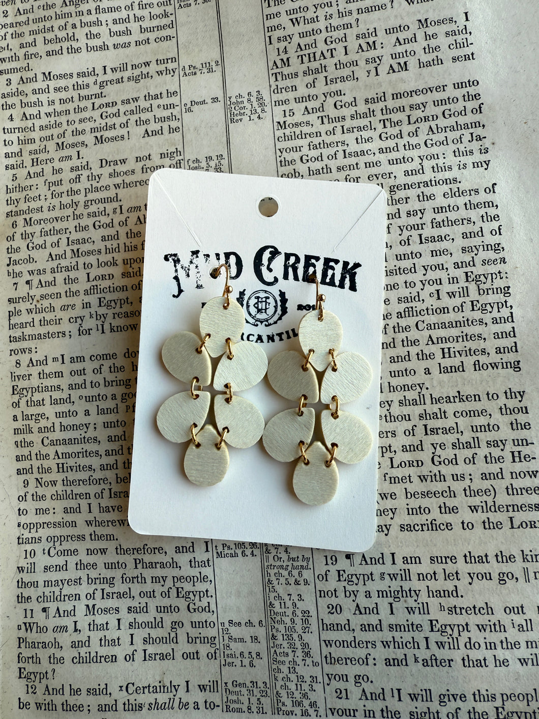 Wood if ya Could - Earrings