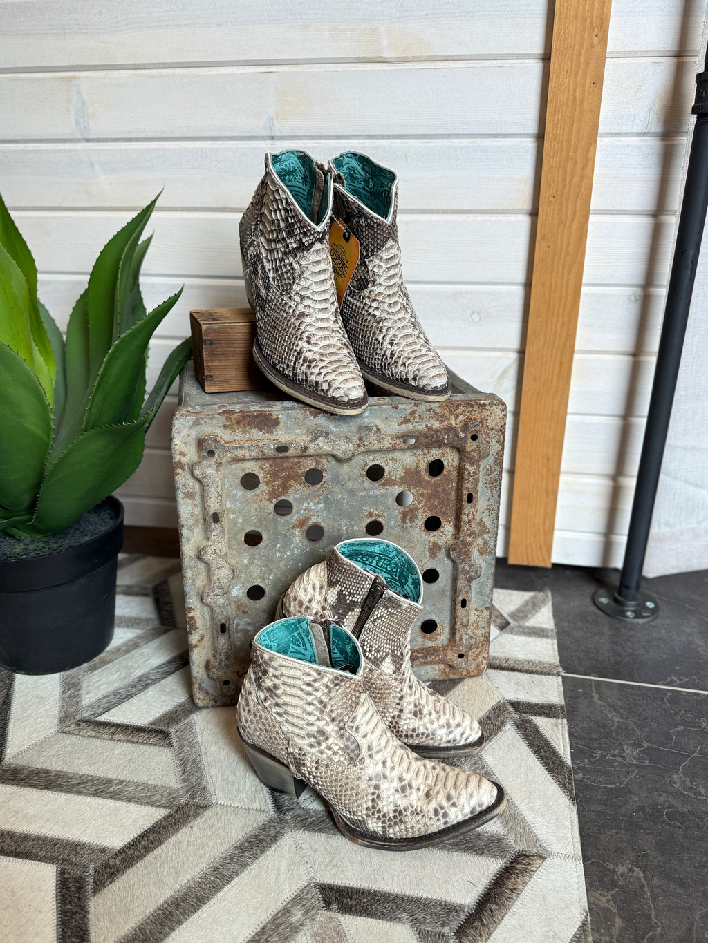 Jacie - Python Booties