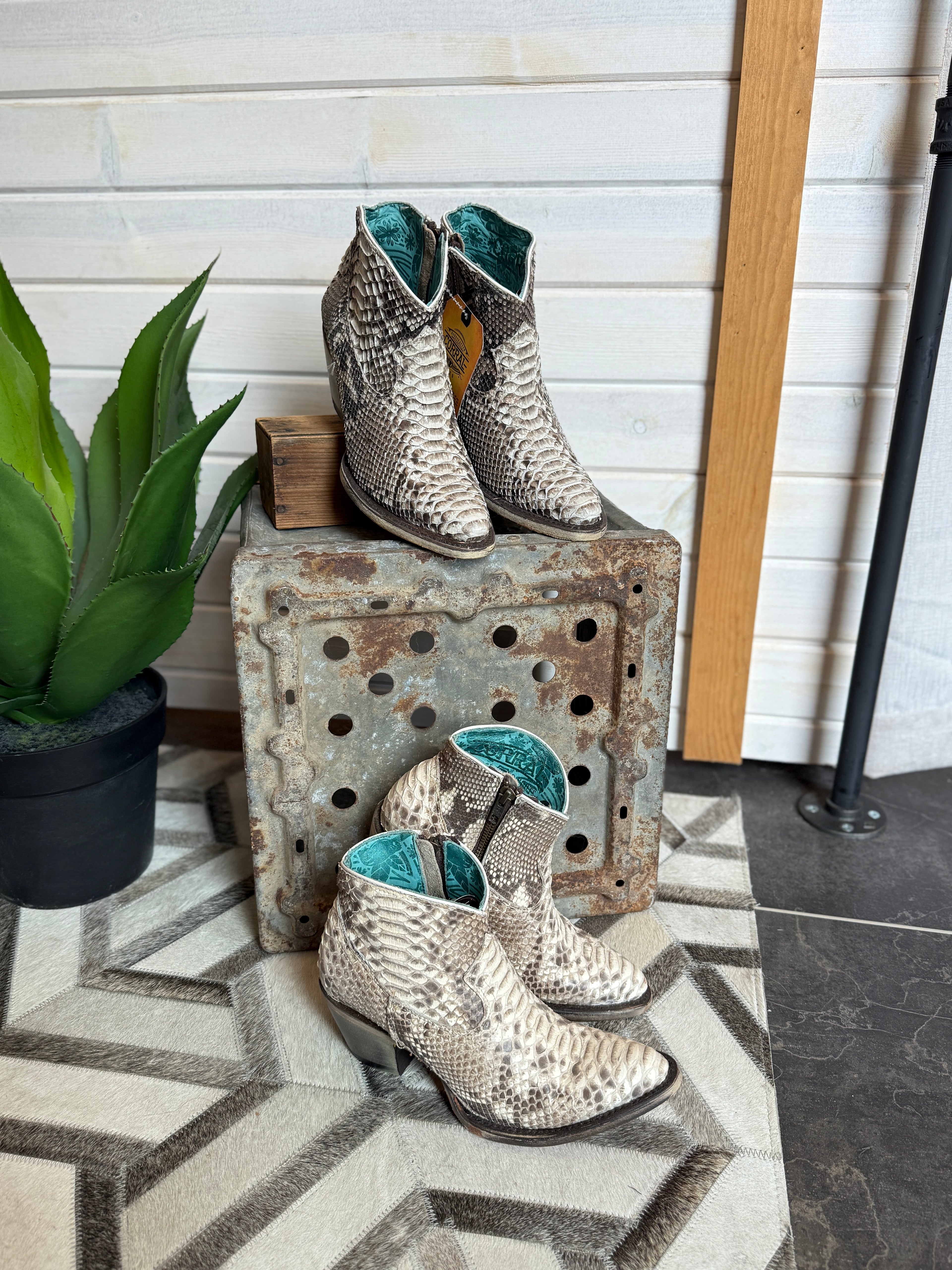 Jacie - Python Booties