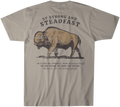 Be Strong and Steadfast Buffalo Christian Graphic Tee
