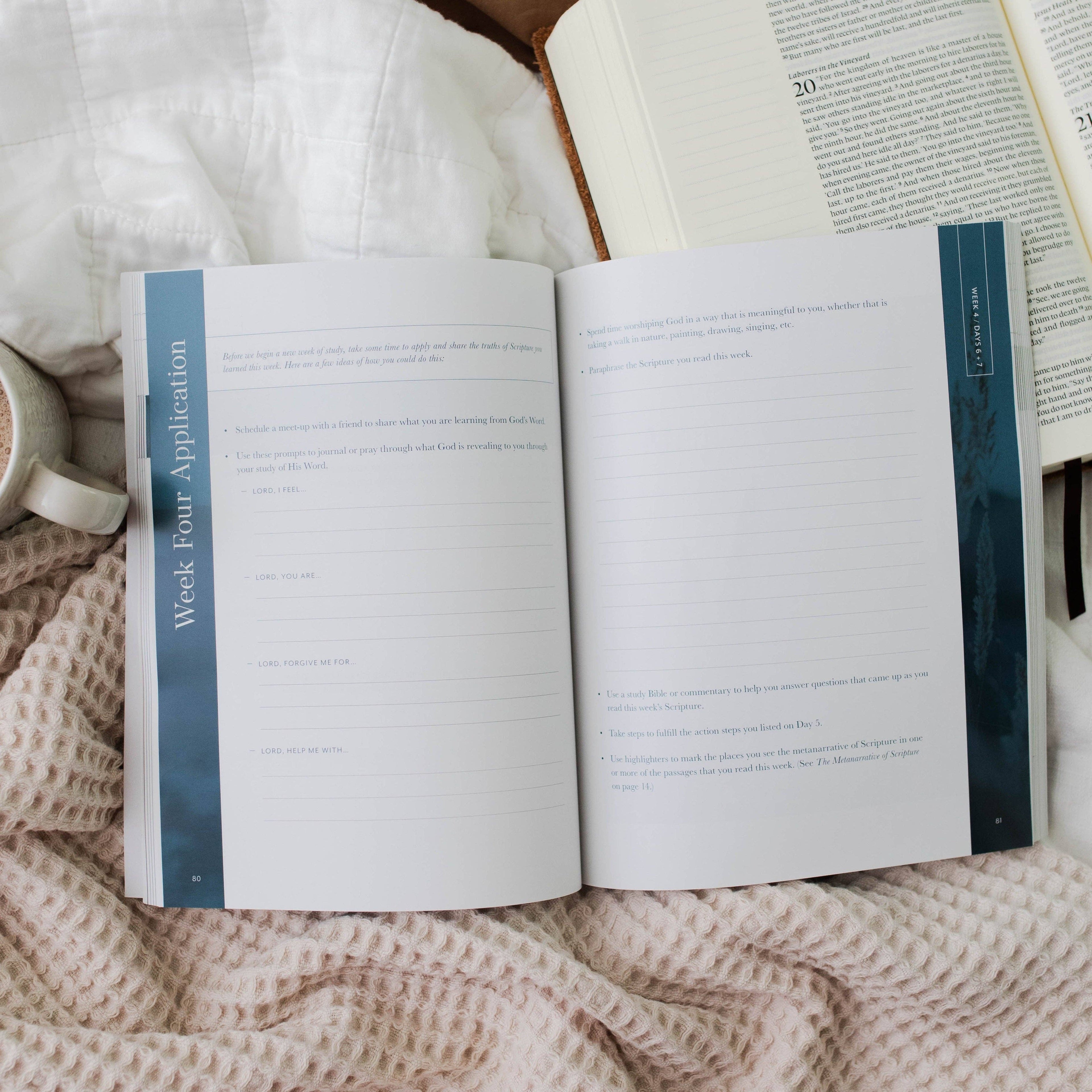 Behold: A Study of the New Testament Volume 1 Women