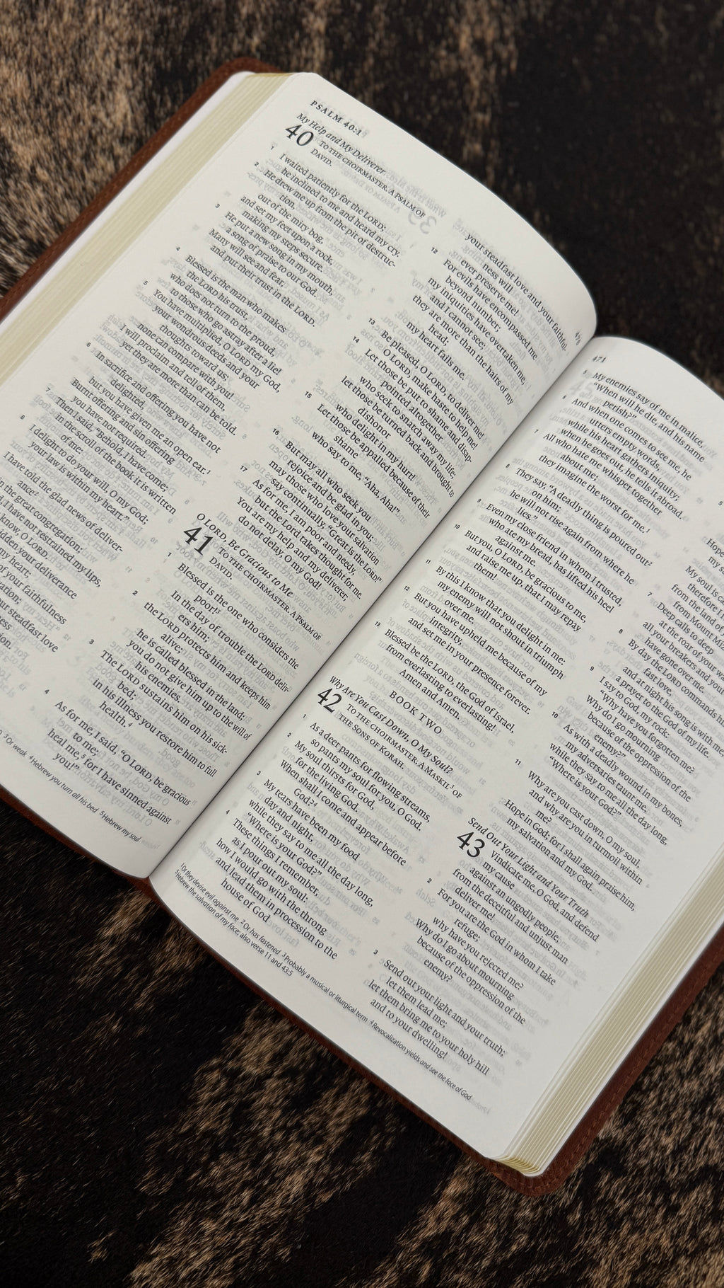 Full Grain Leather Bible