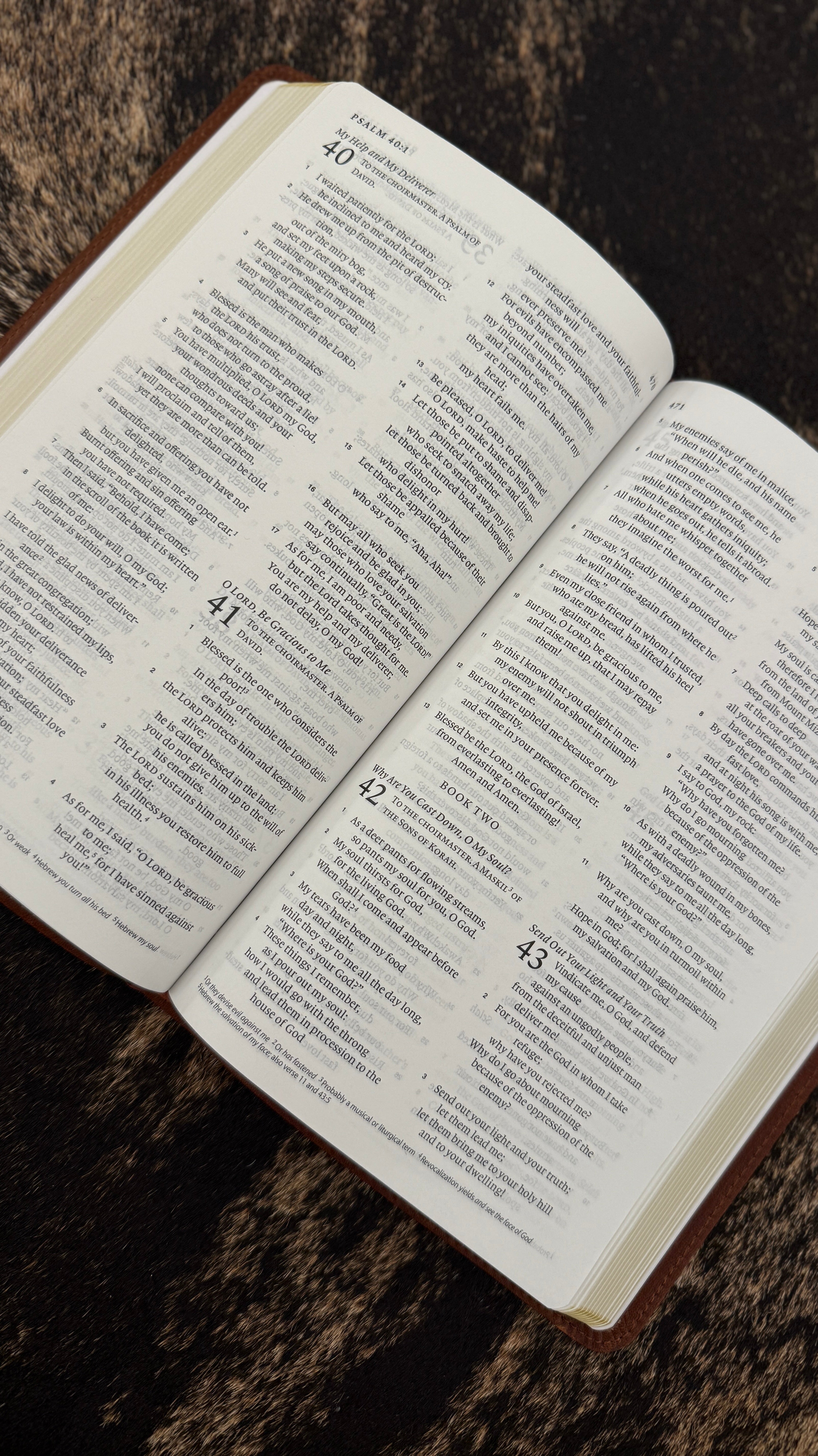 Thinline ESV Bible- Natural Leather