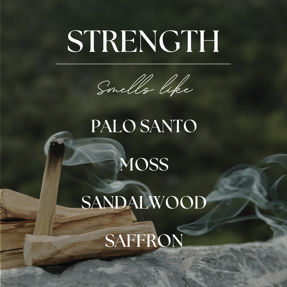Strength | Palo Santo & Mossy Woods | 15 oz. Soy Candle