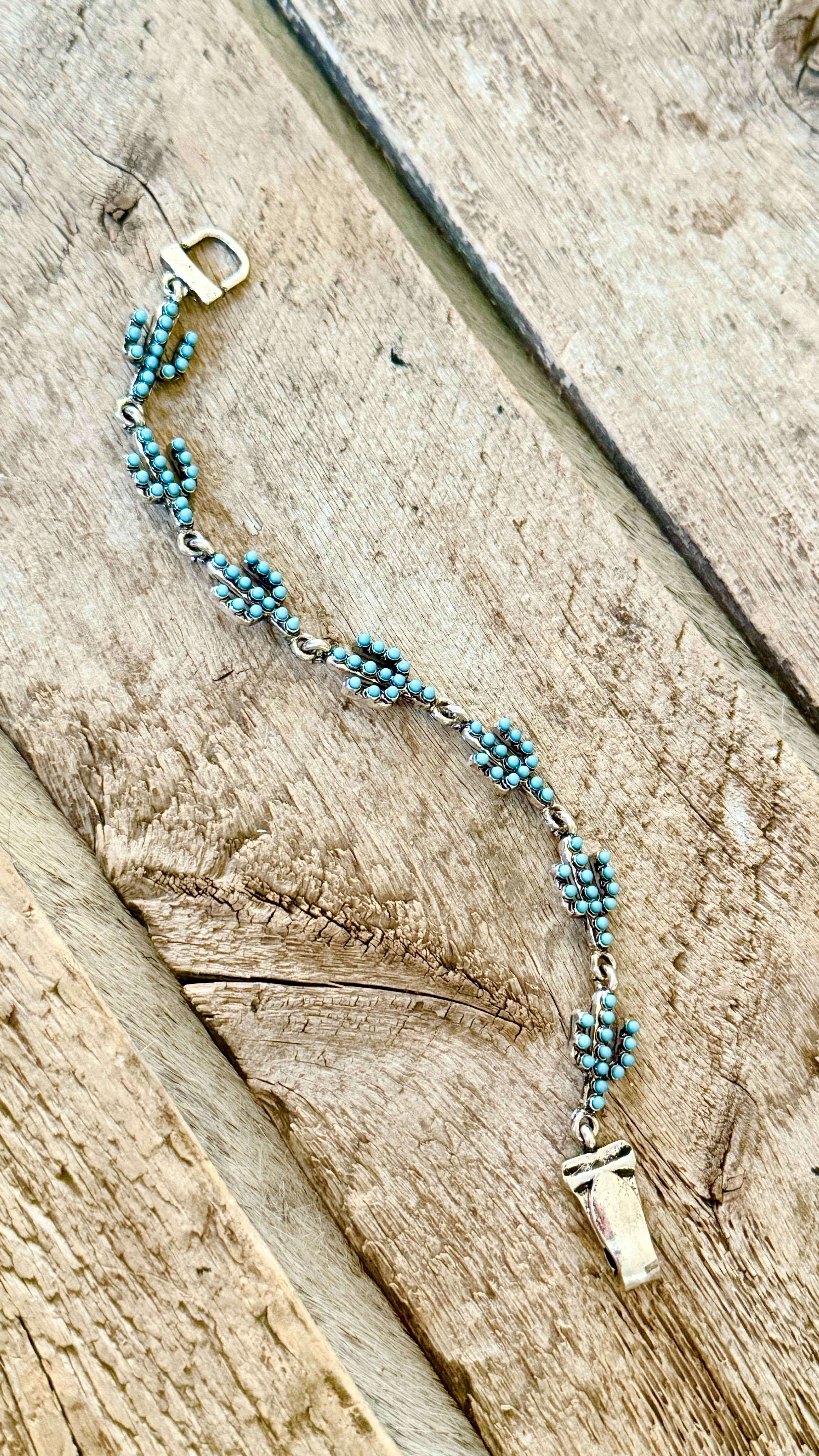 Cactus Trail Bracelet