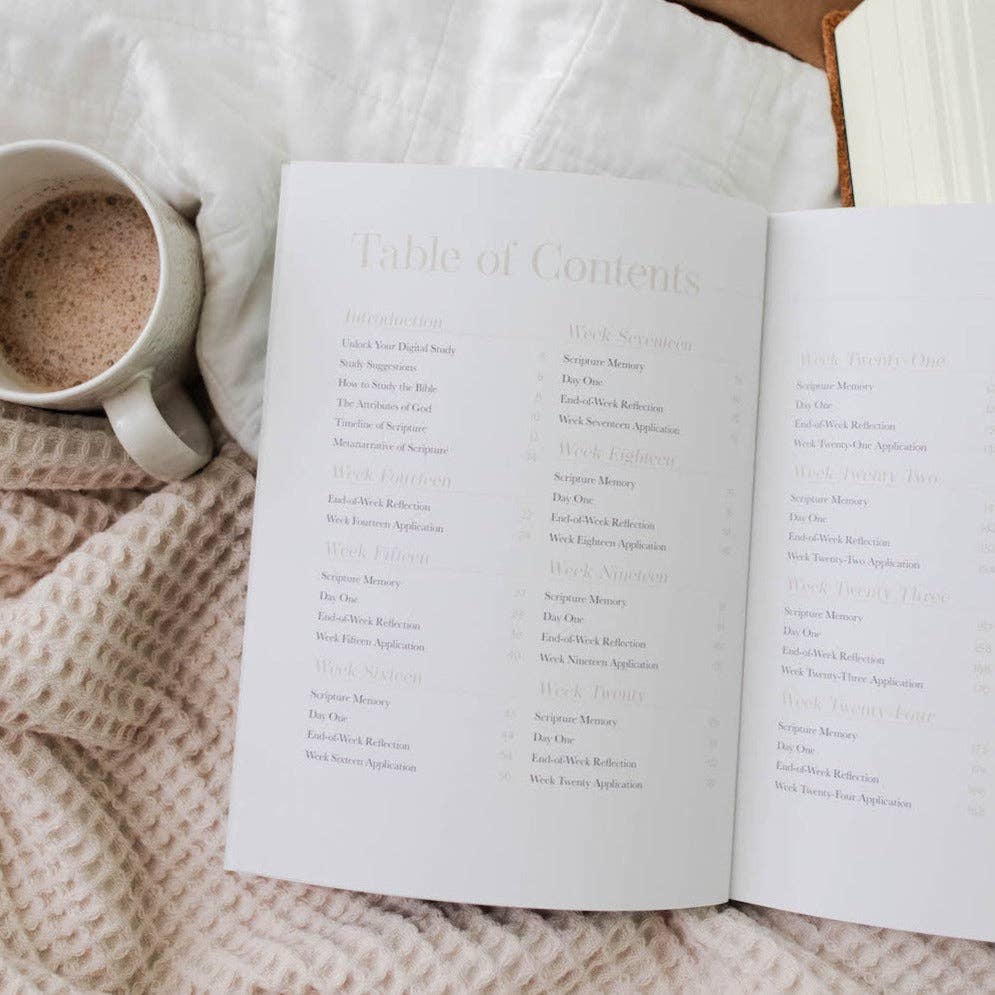 Behold: A Study of the New Testament Volume 2 Women