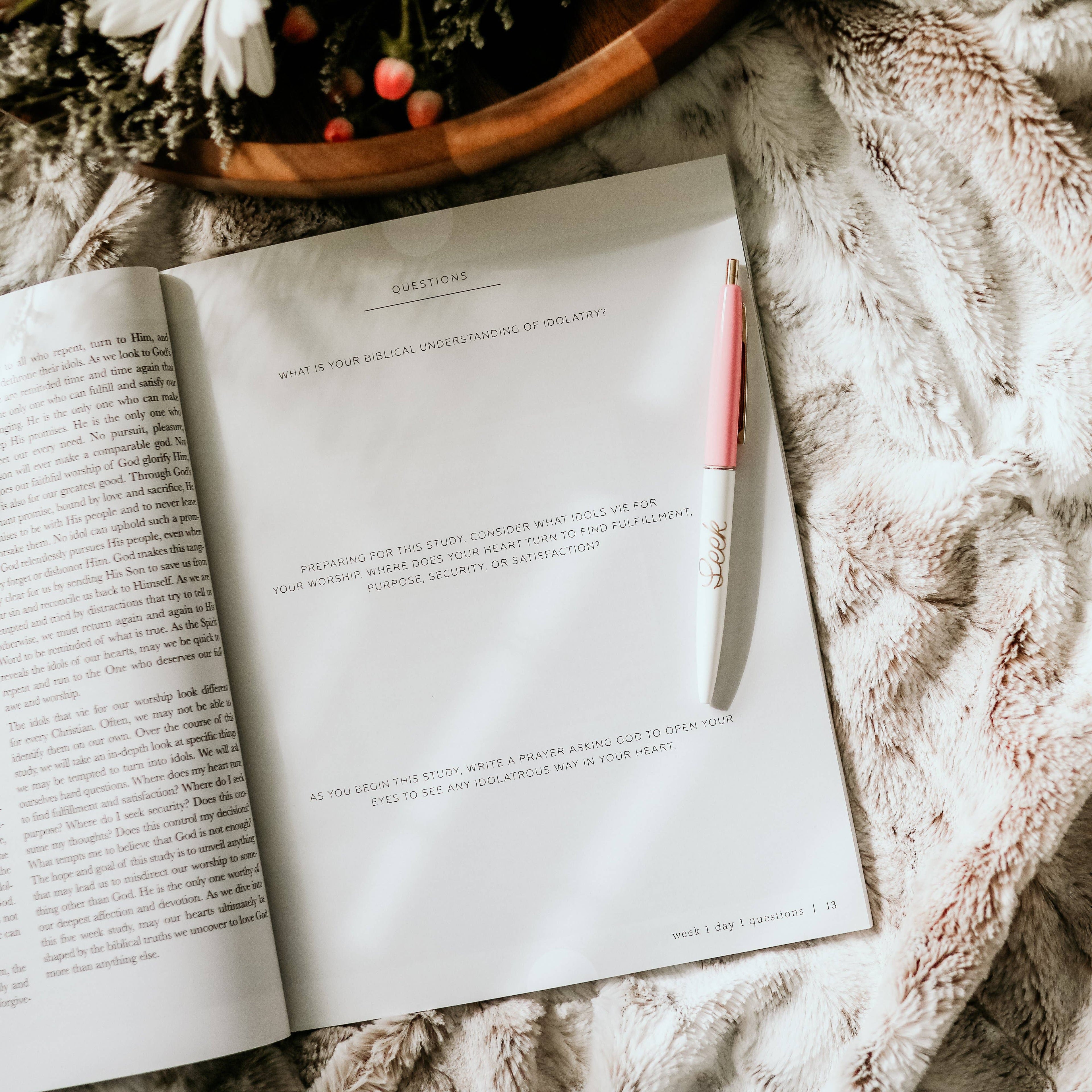 More Than Anything - Idolatry Study