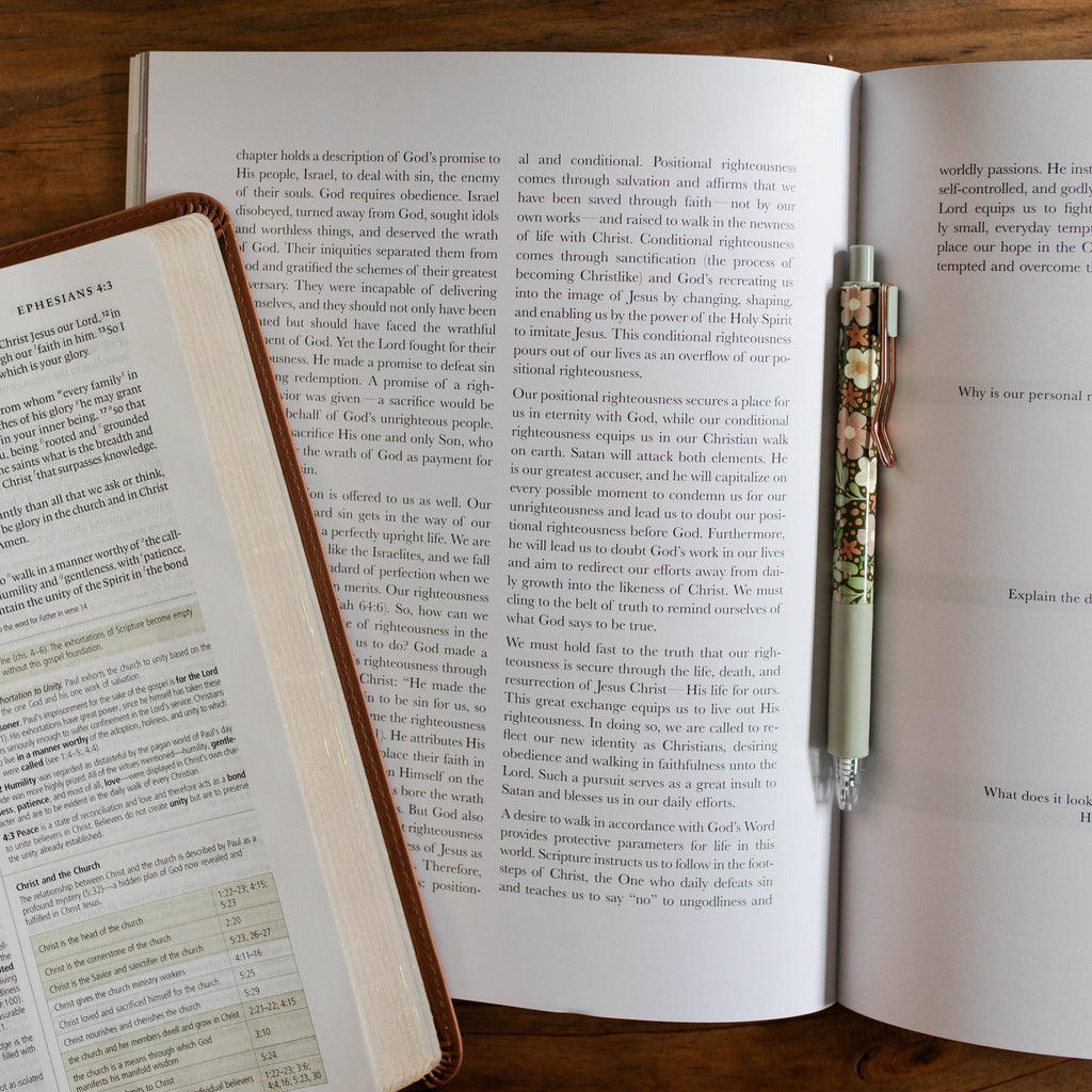 Stand Firm - Armor of God Study 