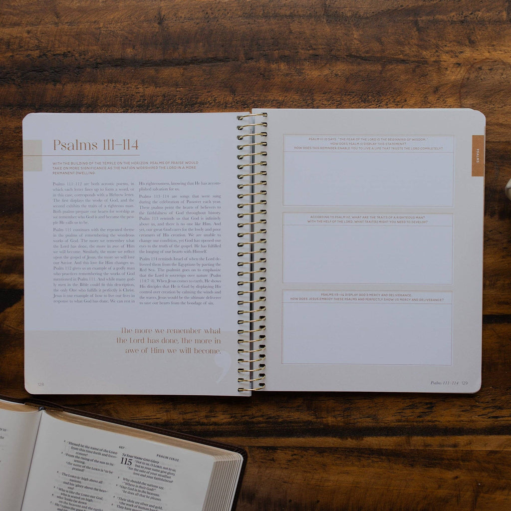 Eden to Eternity - Chronological Bible Study: Volume 2 (Spiral Bound) by