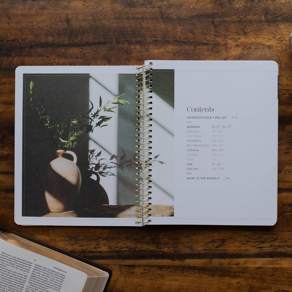 Eden to Eternity - Chronological Bible Study: Volume 1 (Spiral Bound)