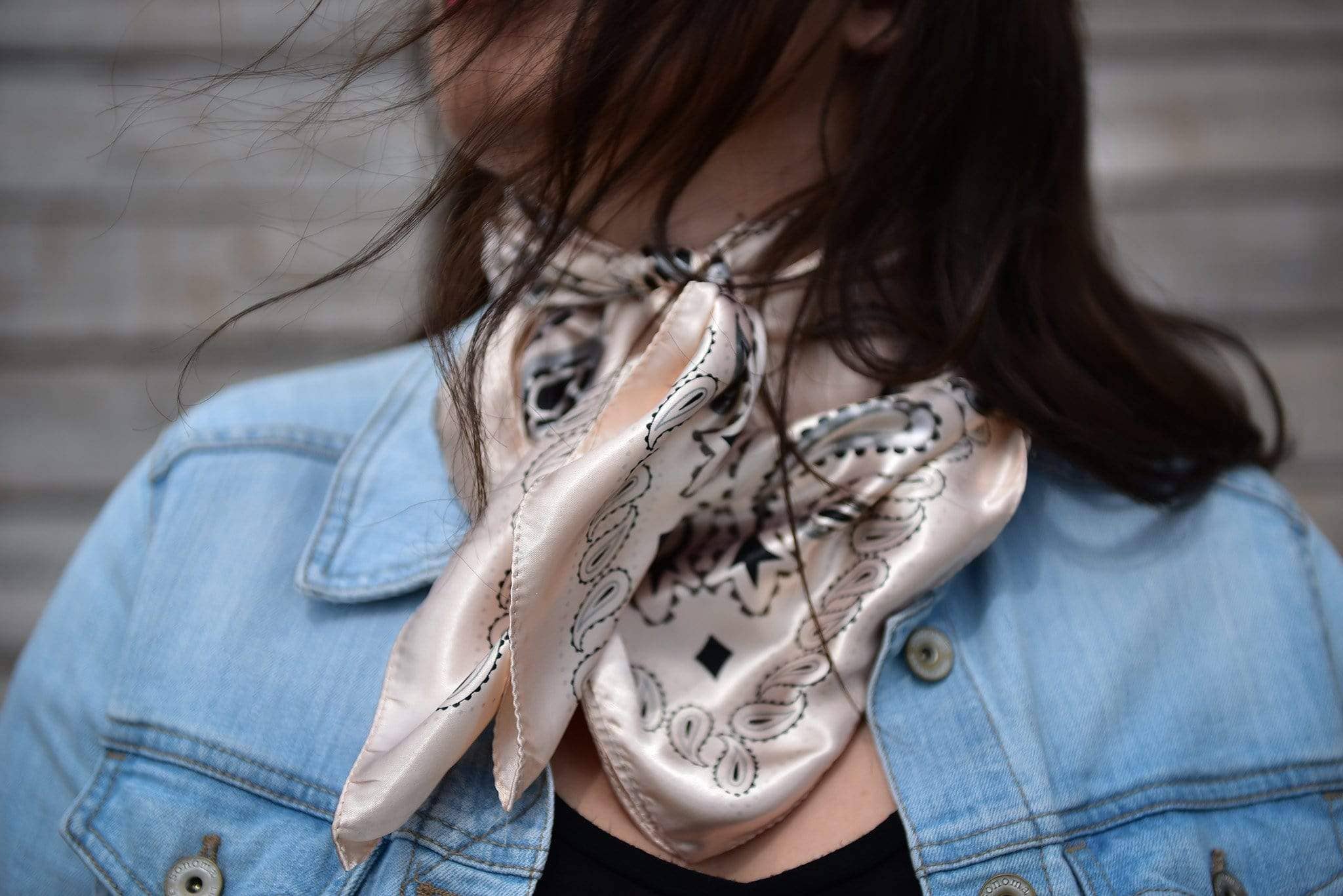 Pink & Silver Paisley Wild Rag/Scarf