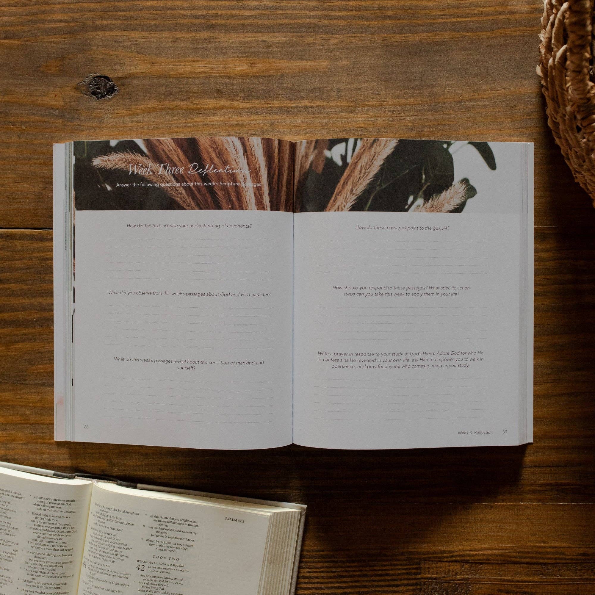 Faithful | Eden to Eternity Bible Study