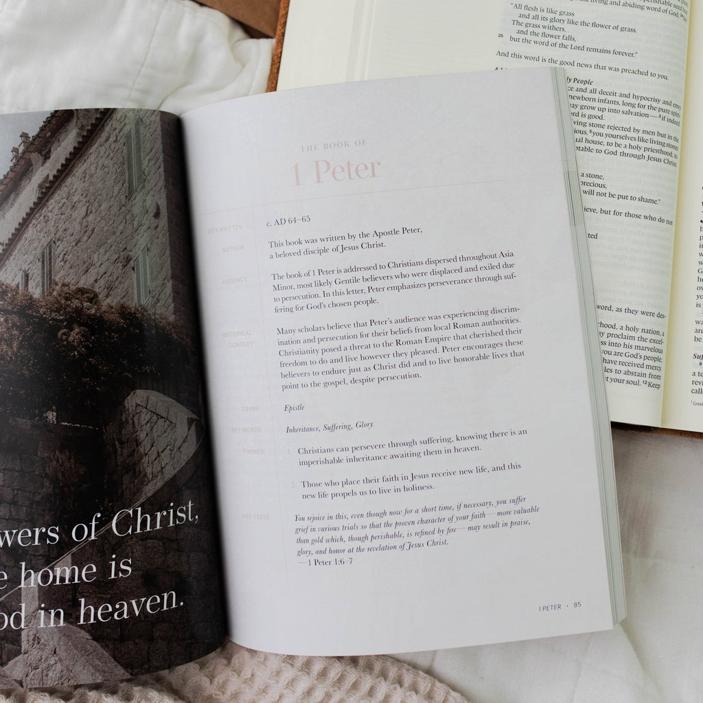 Behold: A Study of the New Testament Volume 4 Women