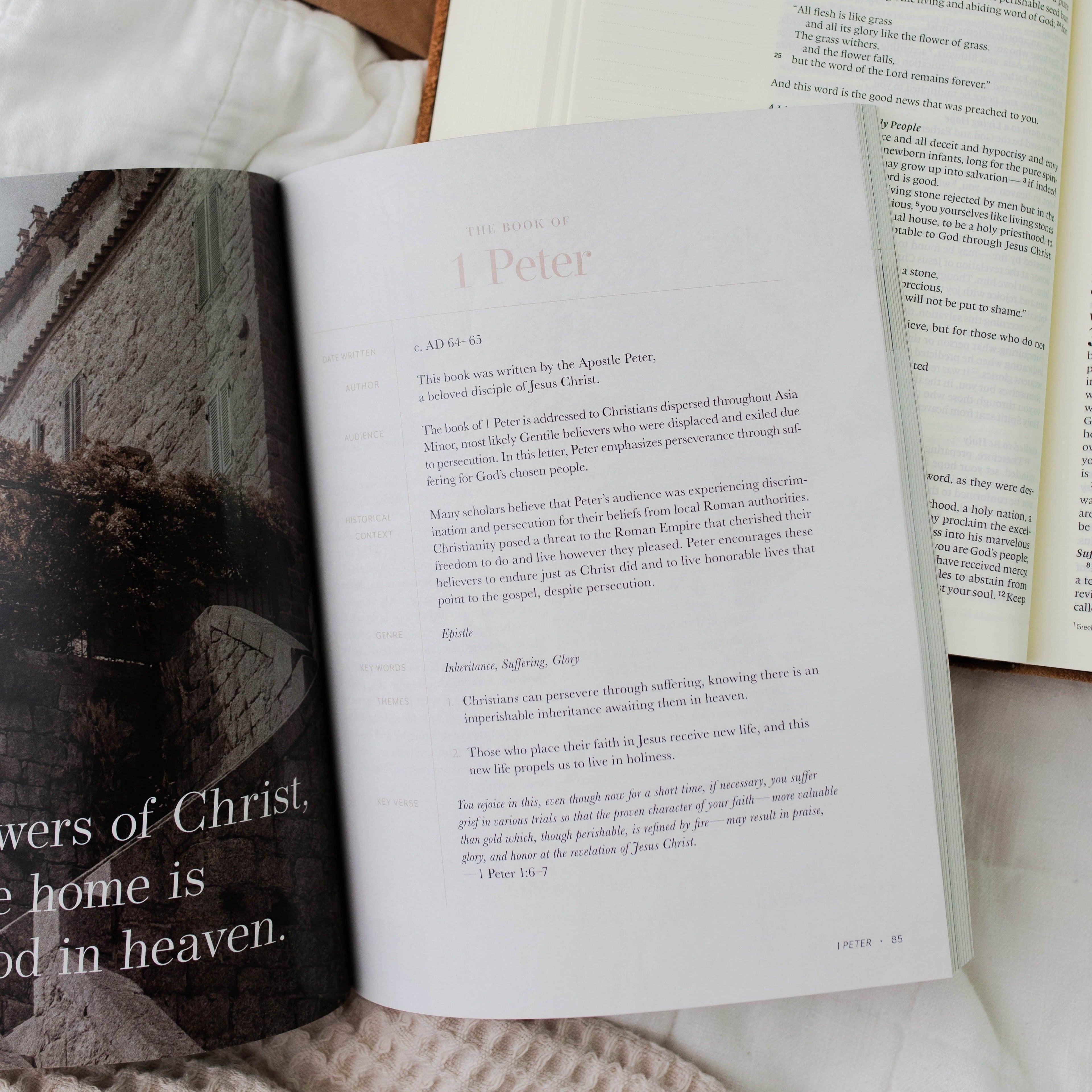 Behold: A Study of the New Testament Volume 4 Women