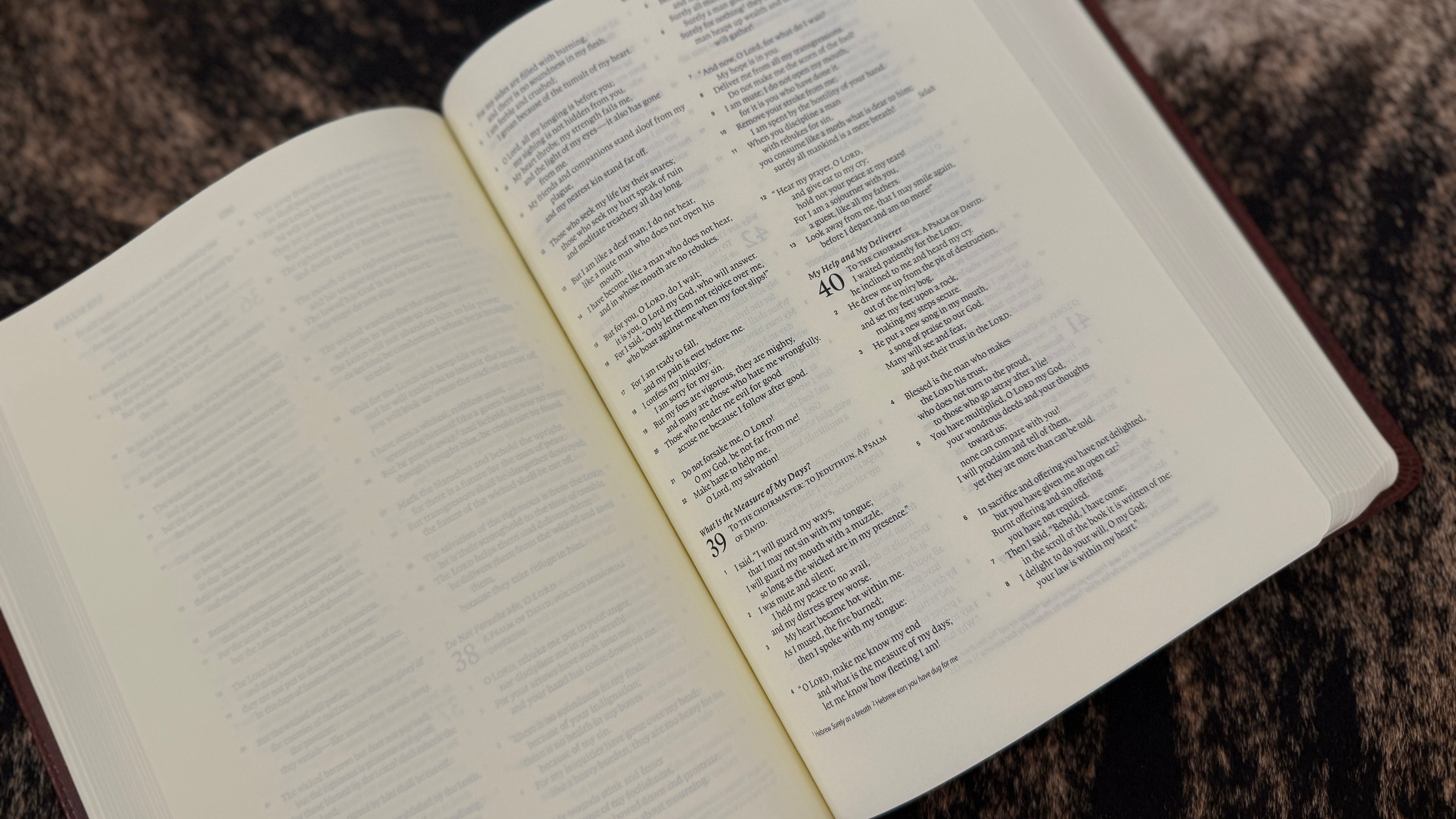 Mosaic Cross Interleaved Bible