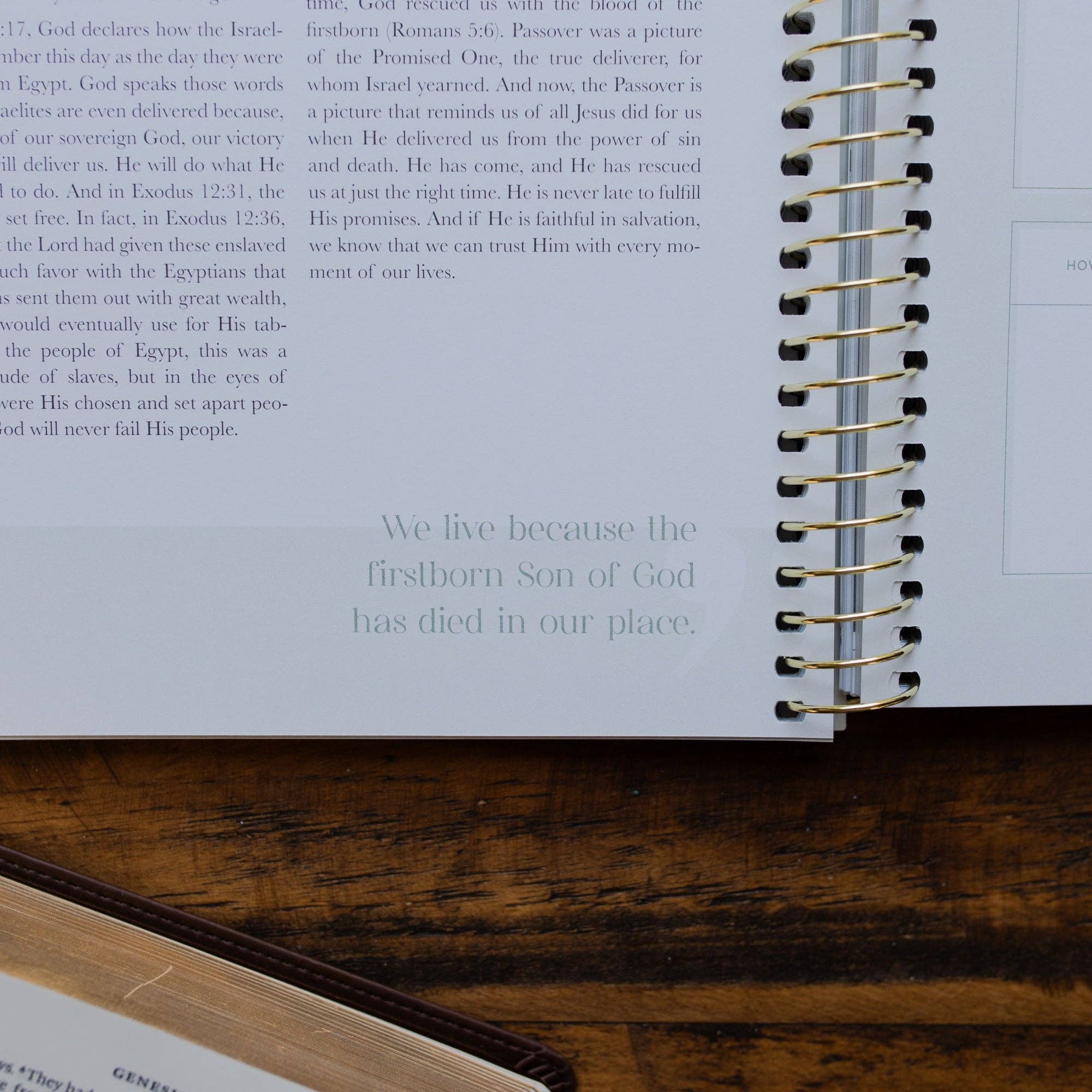 Eden to Eternity - Chronological Bible Study: Volume 1 (Spiral Bound)