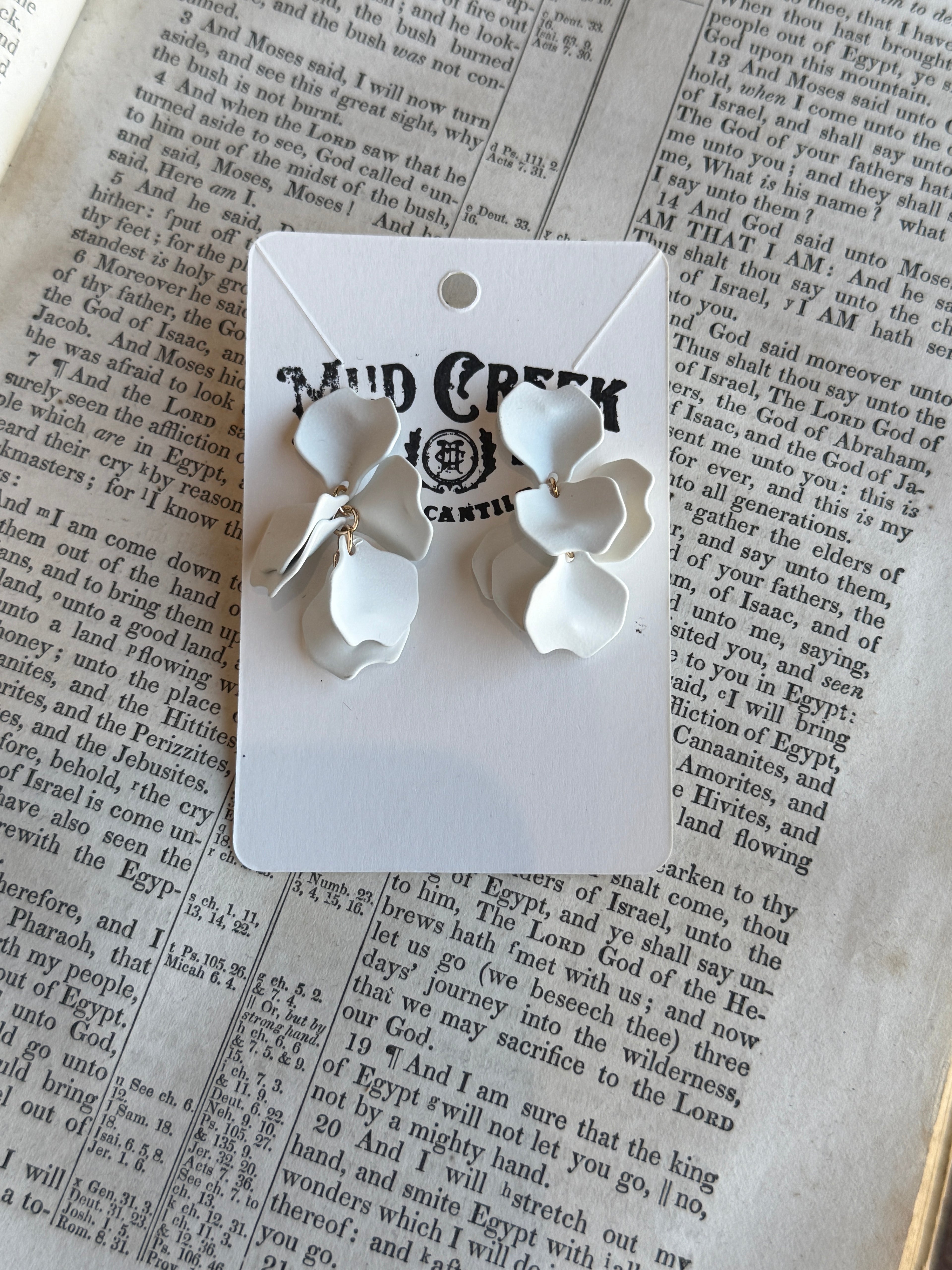Better Days Earrings