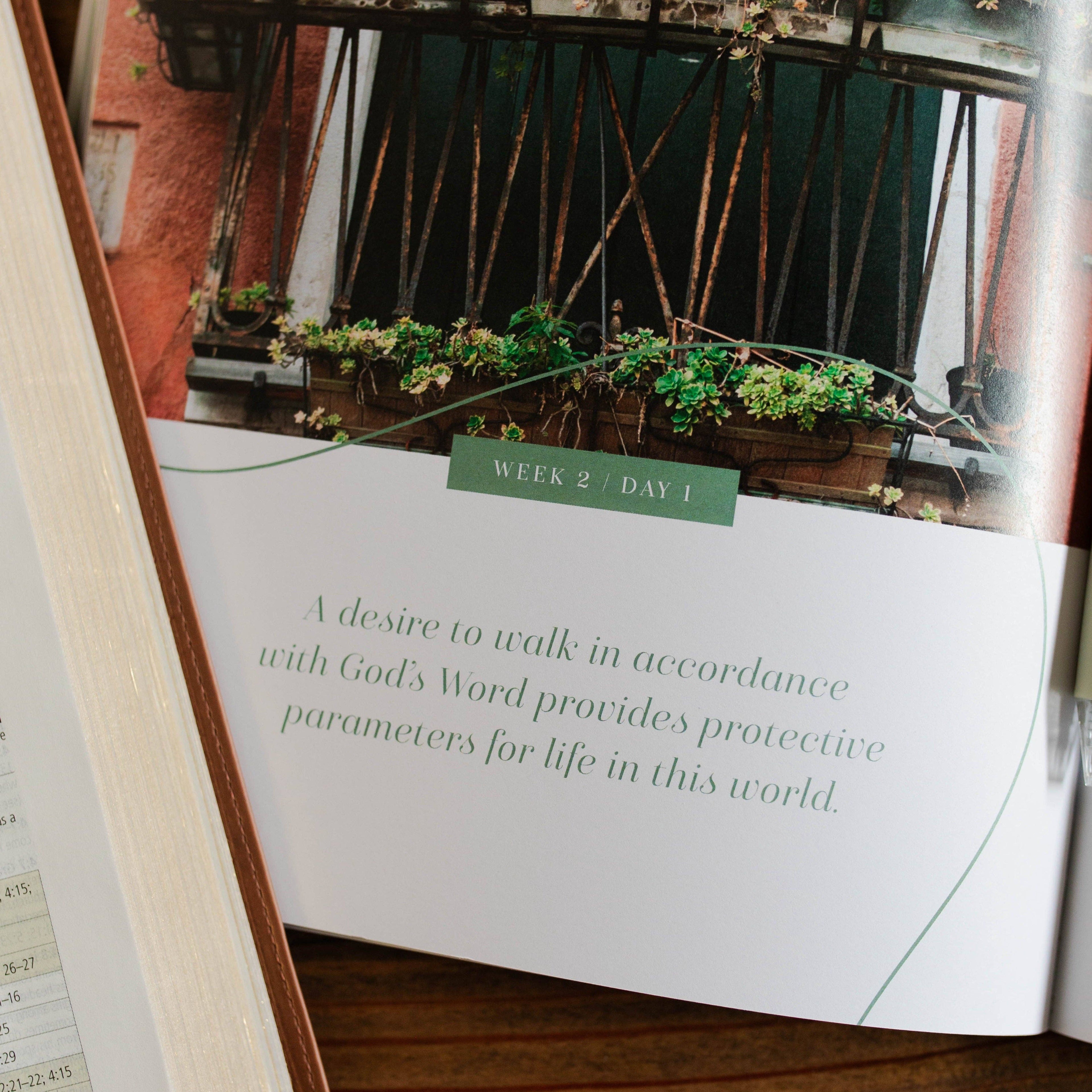 Stand Firm - Armor of God Study 