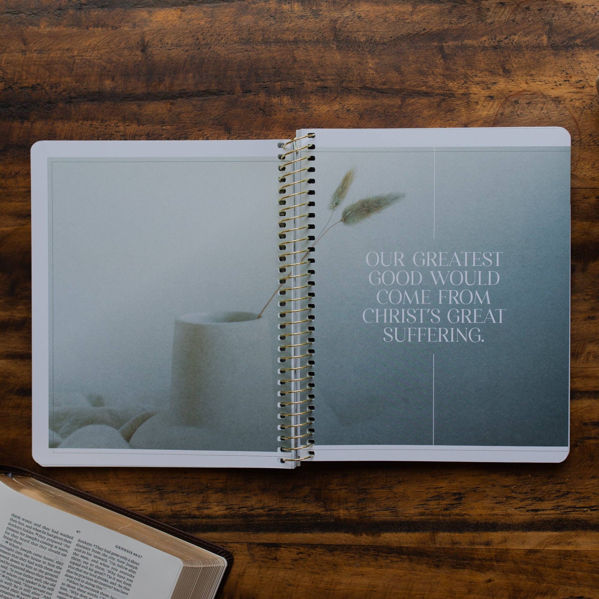 Eden to Eternity - Chronological Bible Study: Volume 1 (Spiral Bound)