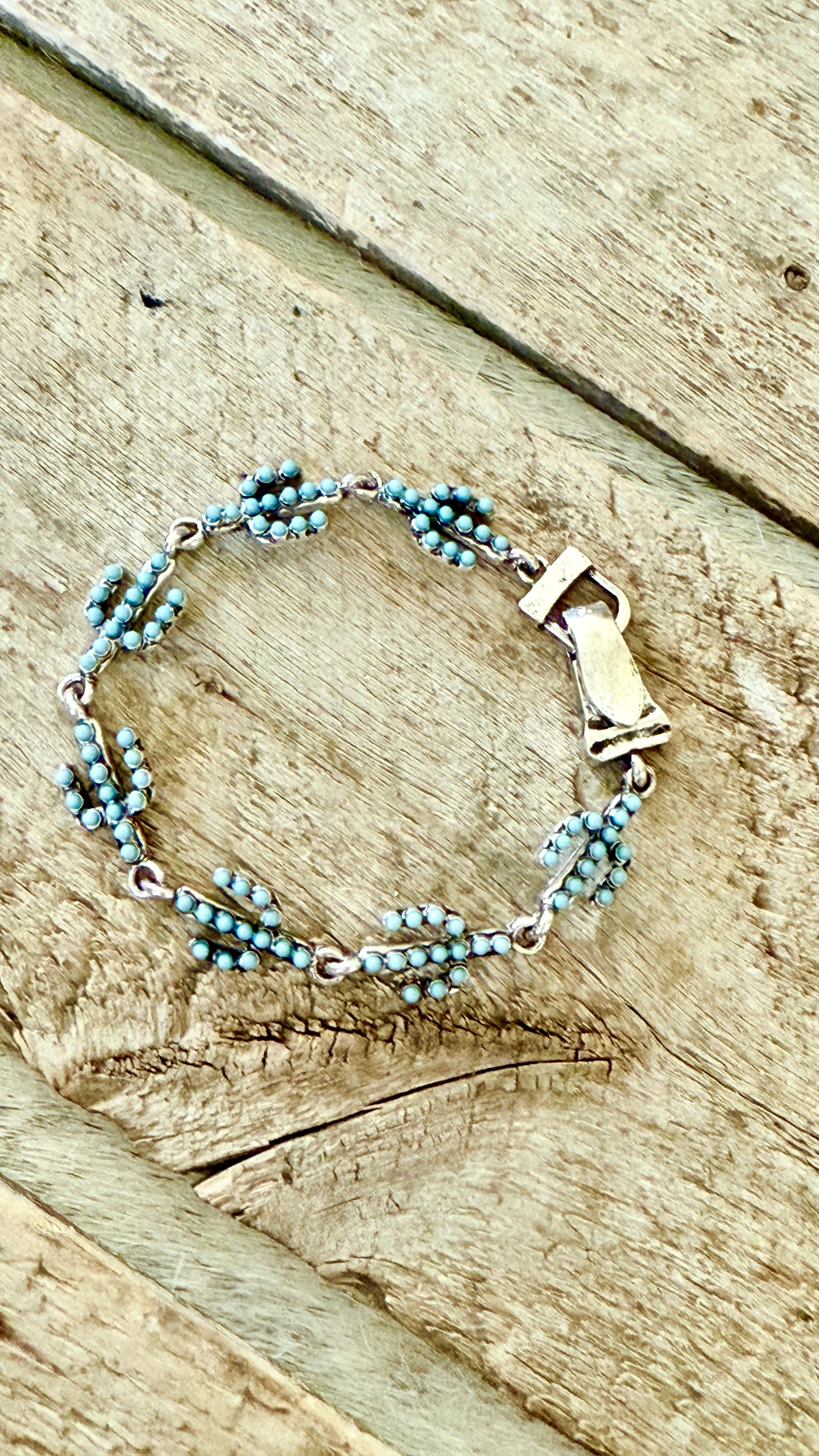 Cactus Trail Bracelet