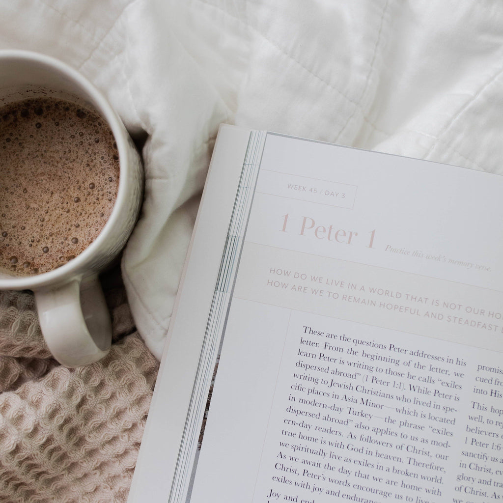 Behold: A Study of the New Testament Volume 4 Women