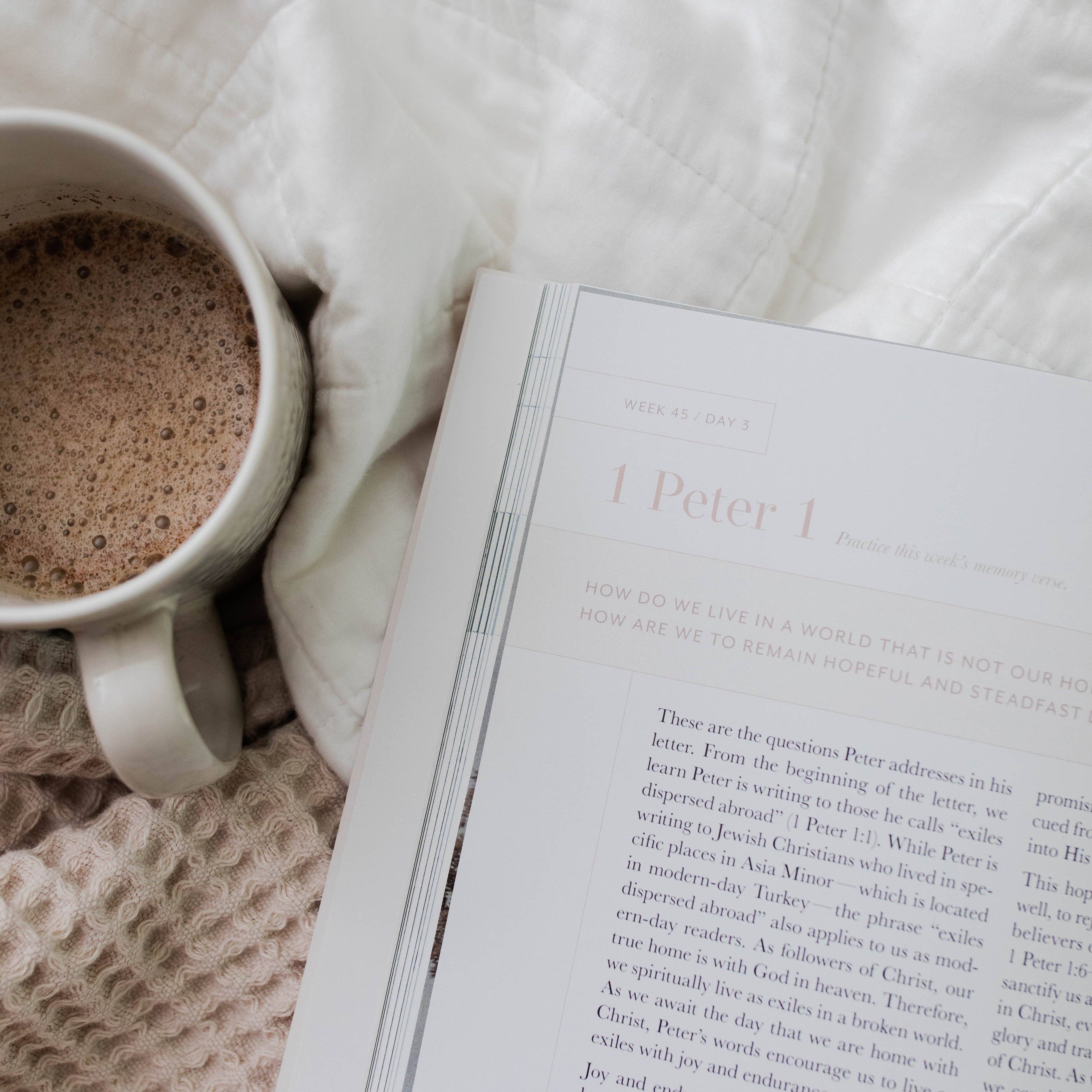 Behold: A Study of the New Testament Volume 4 Women