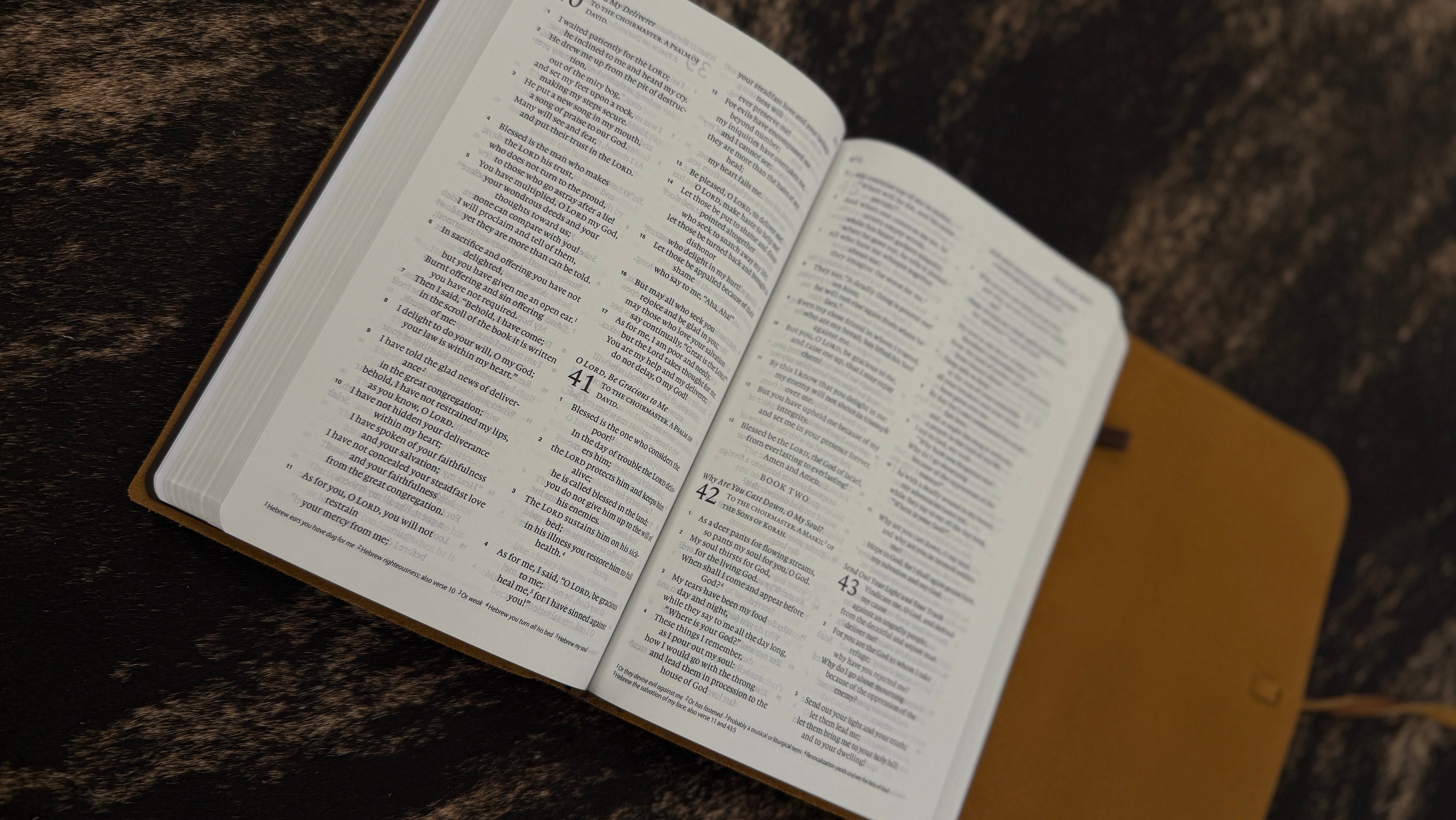 Journaling Bible with Tie Strap