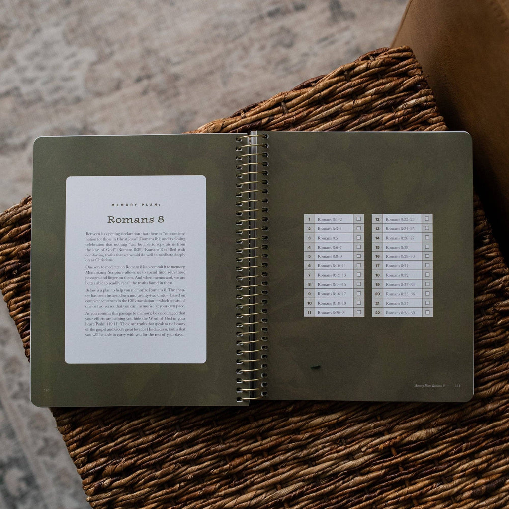 In Christ Alone: A Study on the Book of Romans - Men