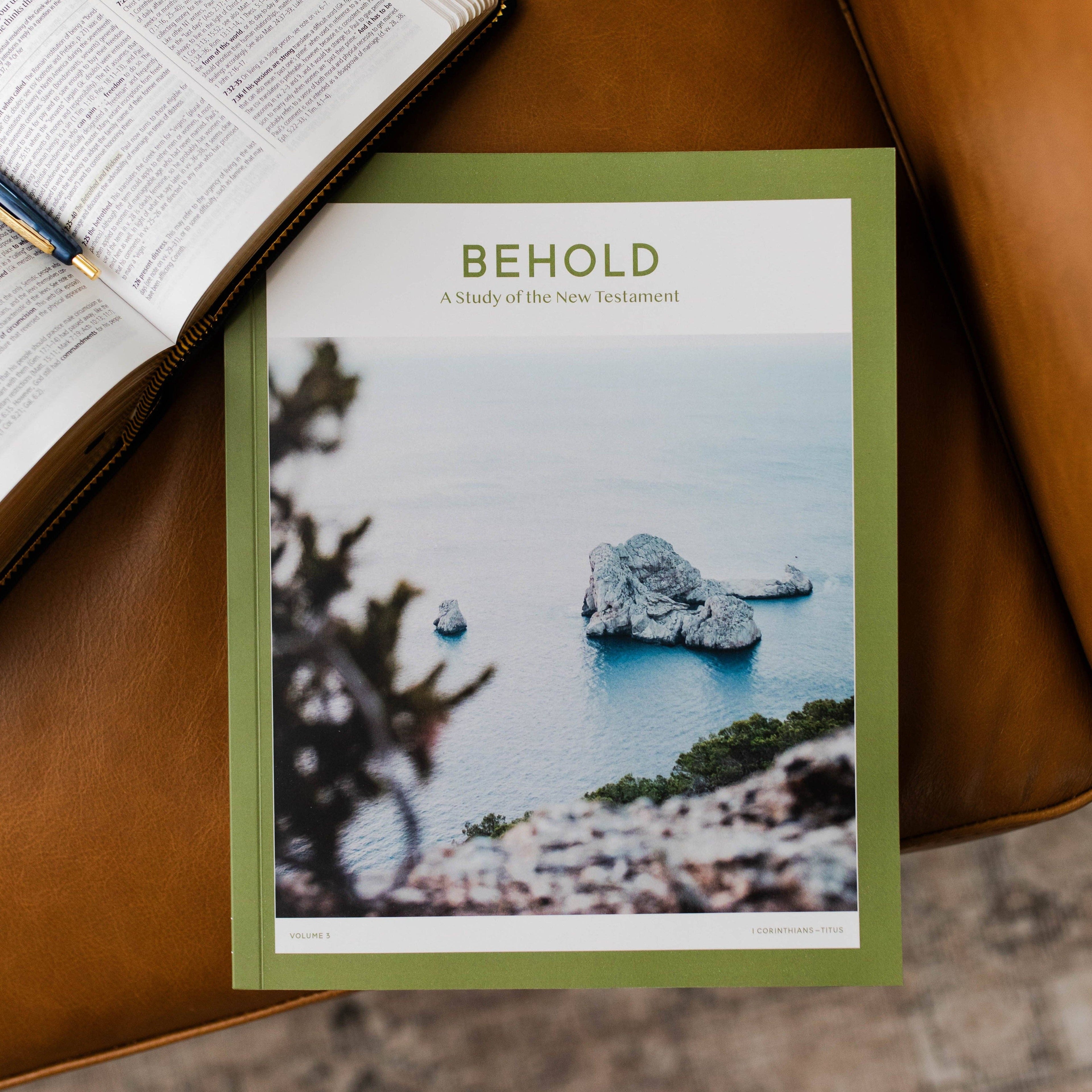 Behold: A Study of the New Testament Volume 3 - Men