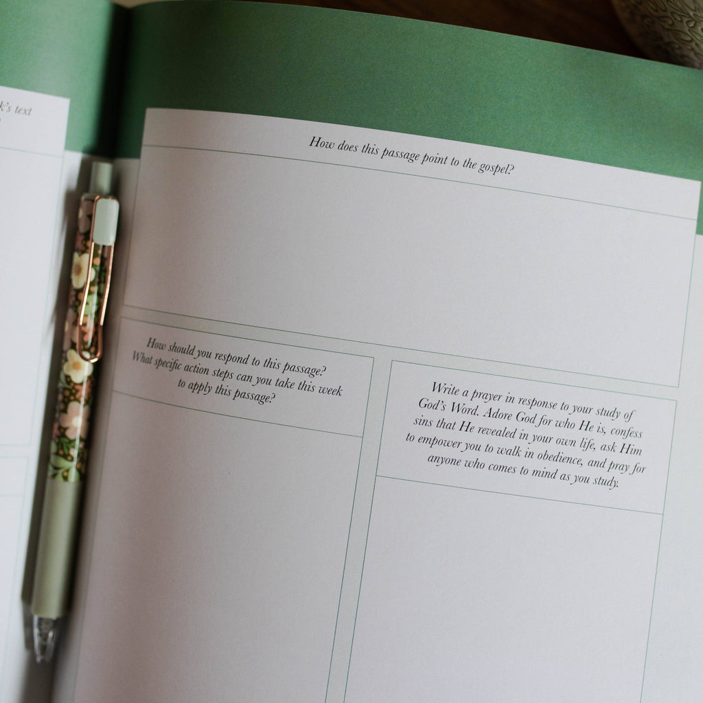 Stand Firm - Armor of God Study 