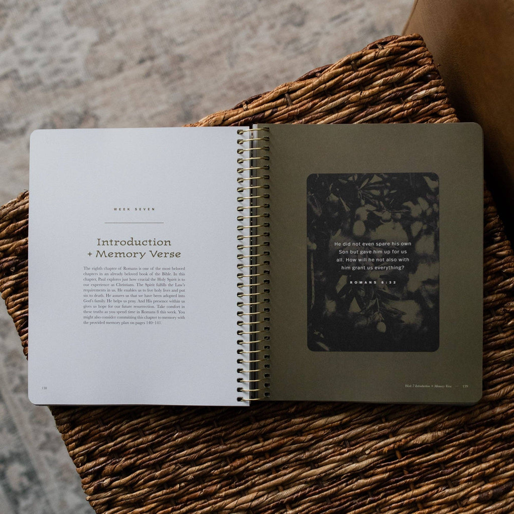 In Christ Alone: A Study on the Book of Romans - Men