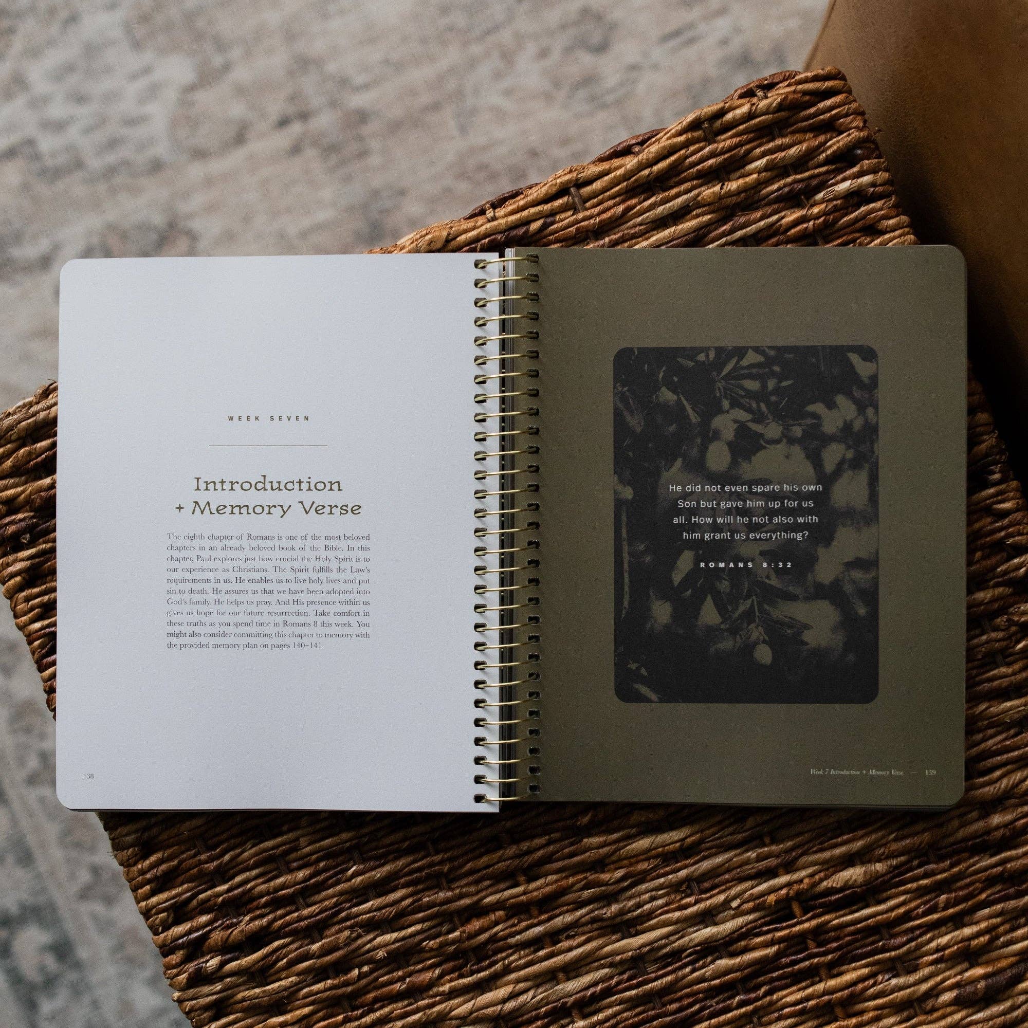 In Christ Alone: A Study on the Book of Romans - Men