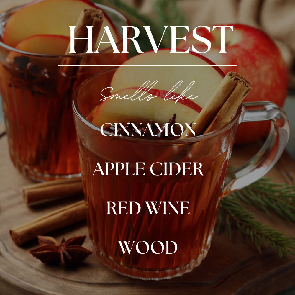 Harvest | Mulled Apple Cider | 15oz Fall Candle