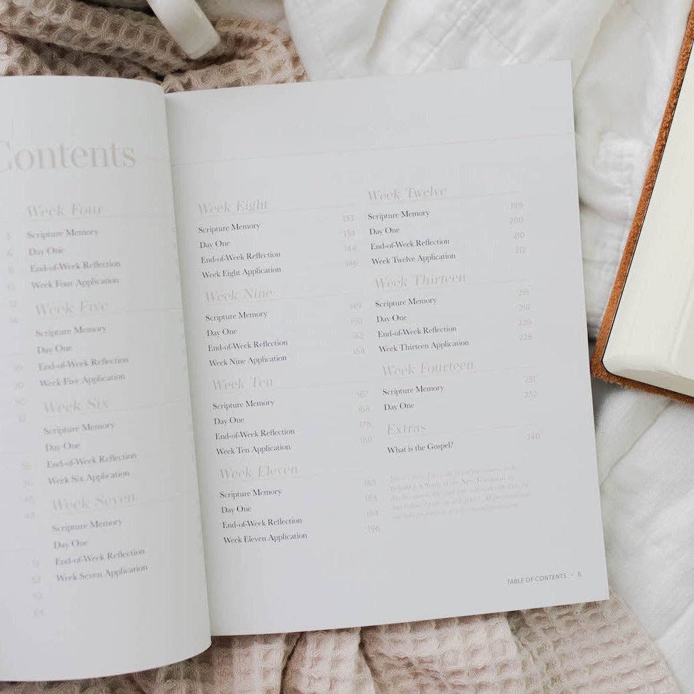 Behold: A Study of the New Testament Volume 1 Women