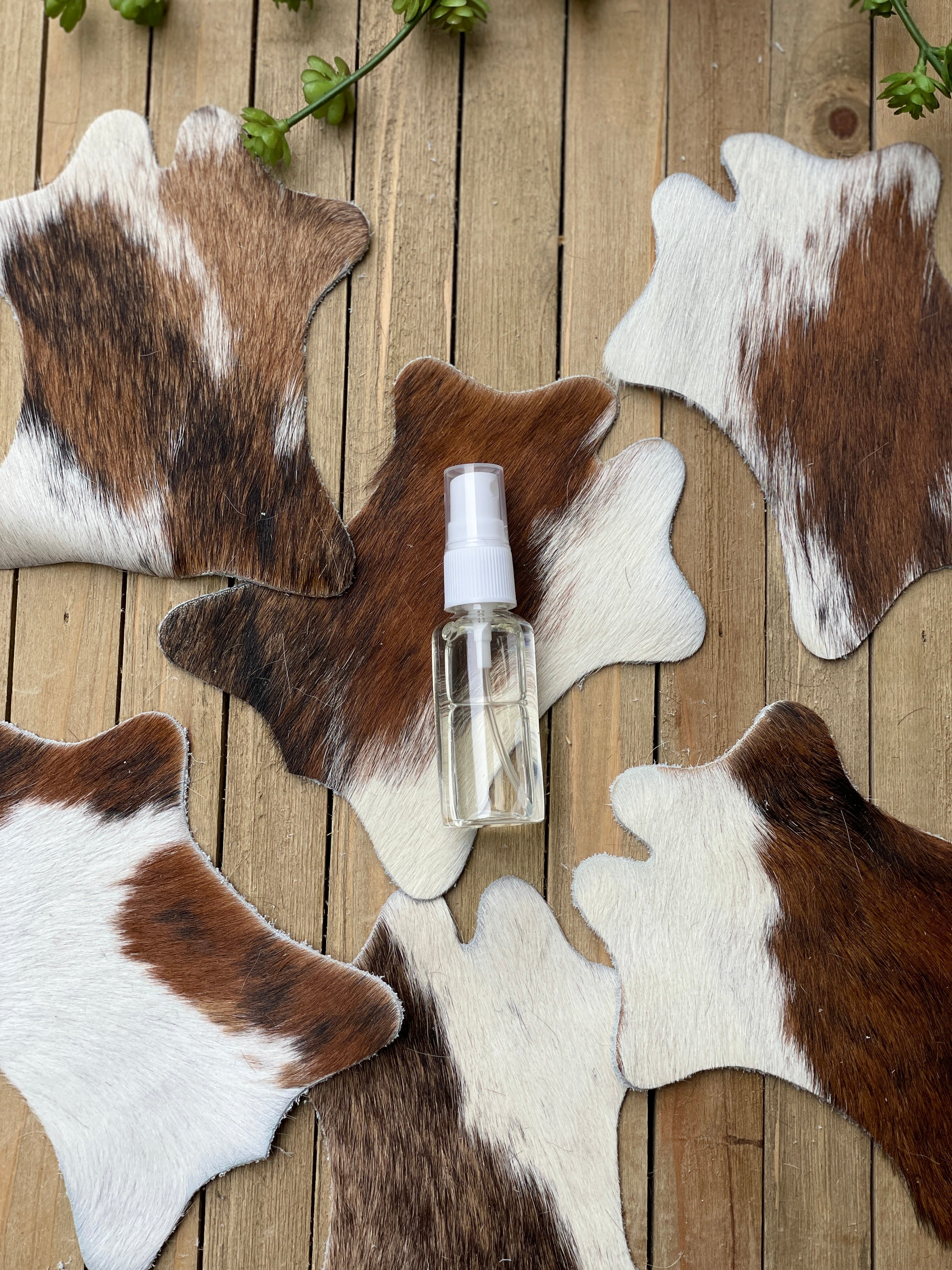 Mini Cow Hide Coaster