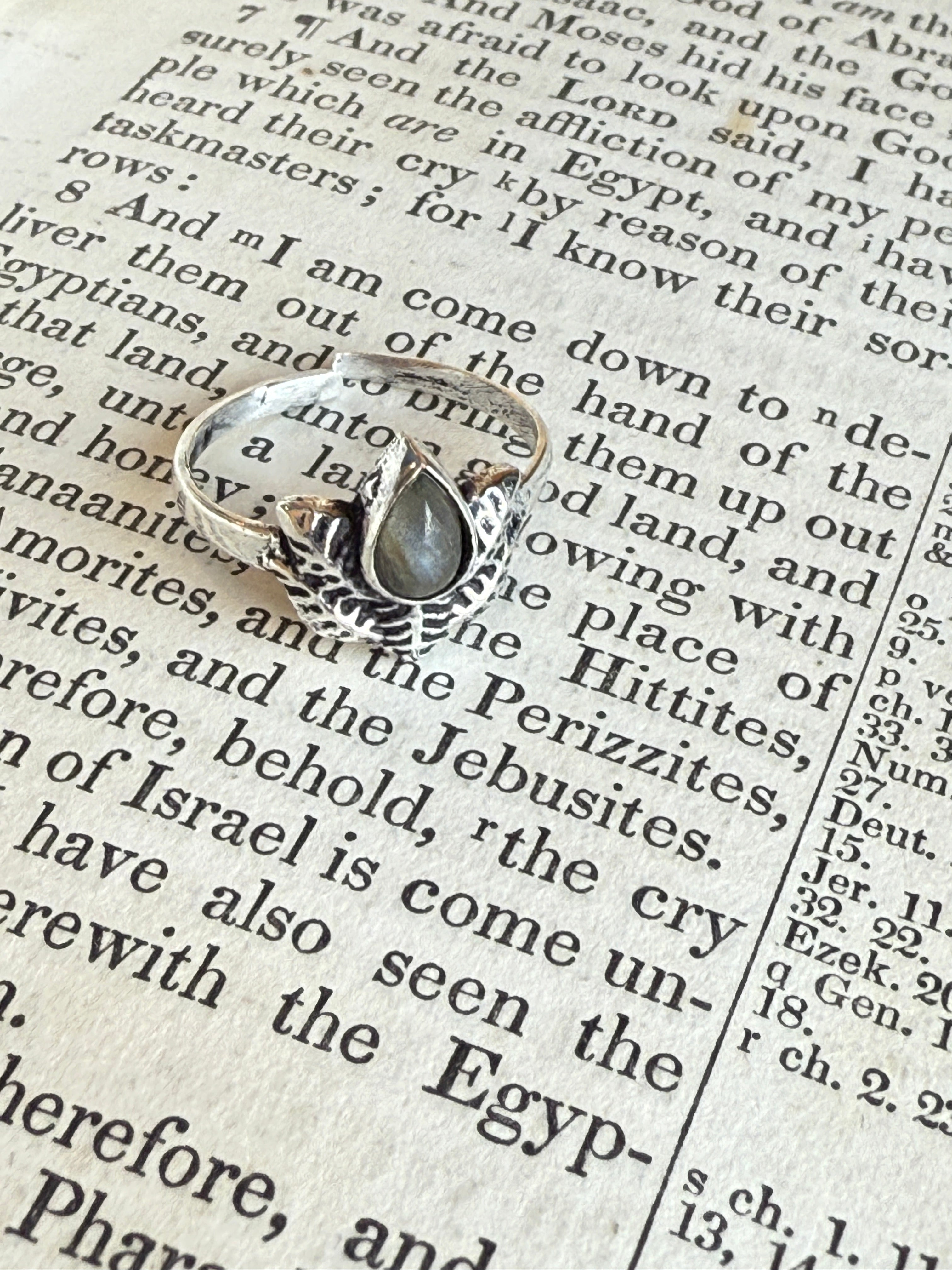Tanvi Labradorite Ring